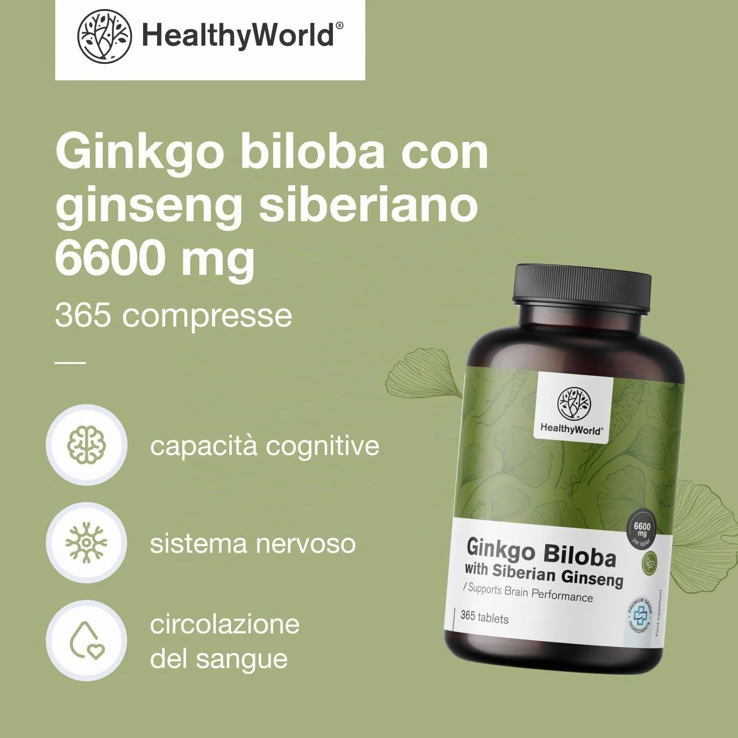 HealthyWorld Ginkgo Biloba con Ginseng siberiano 6600 mg 365 compresse Estratto 50:1 120mg 10:1 60mg