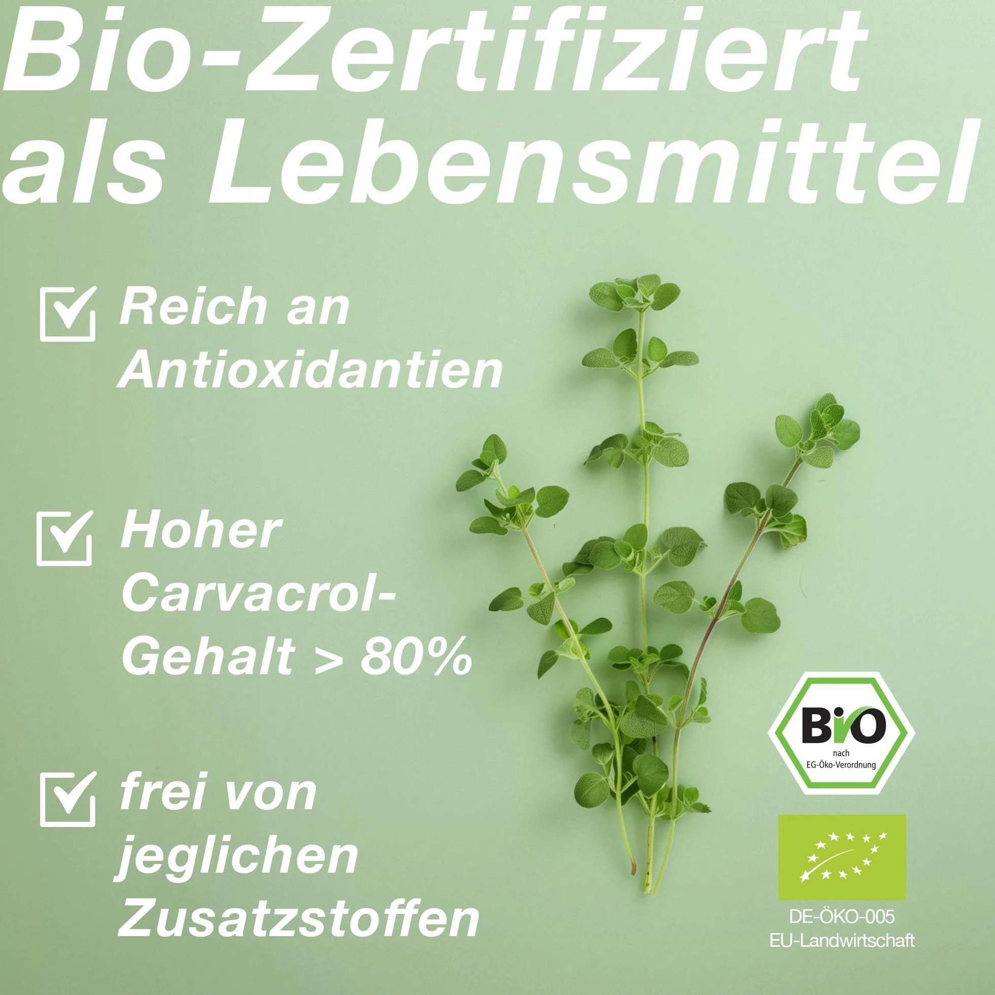 Olio di origano biologico 80% carvacrolo, Origanum Vulgare, 30 ml