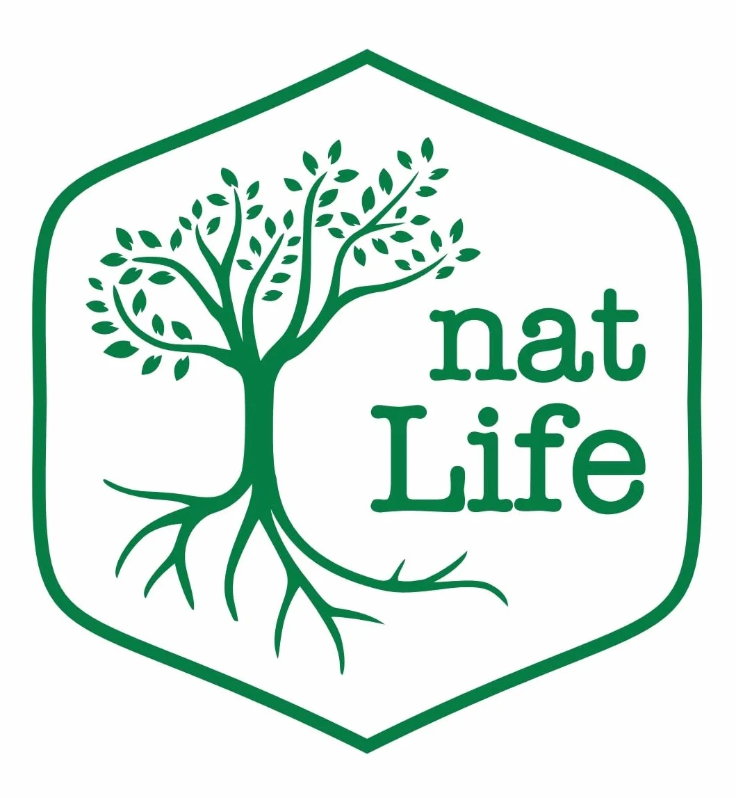 Tè anti-adiposo con Ginseng 120 bustine drenante eliminare depositi adiposi attivare intestino