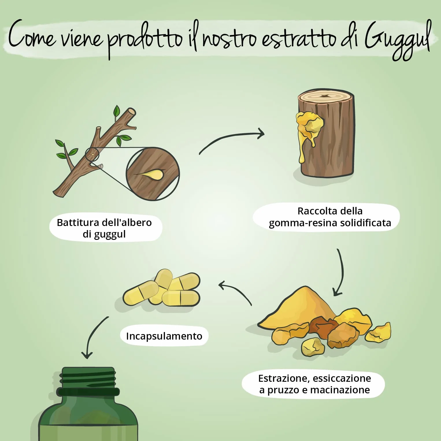 Vegavero® Guggul 7.500 mg 120 capsule Resina di Mirra Ayurveda Vegan