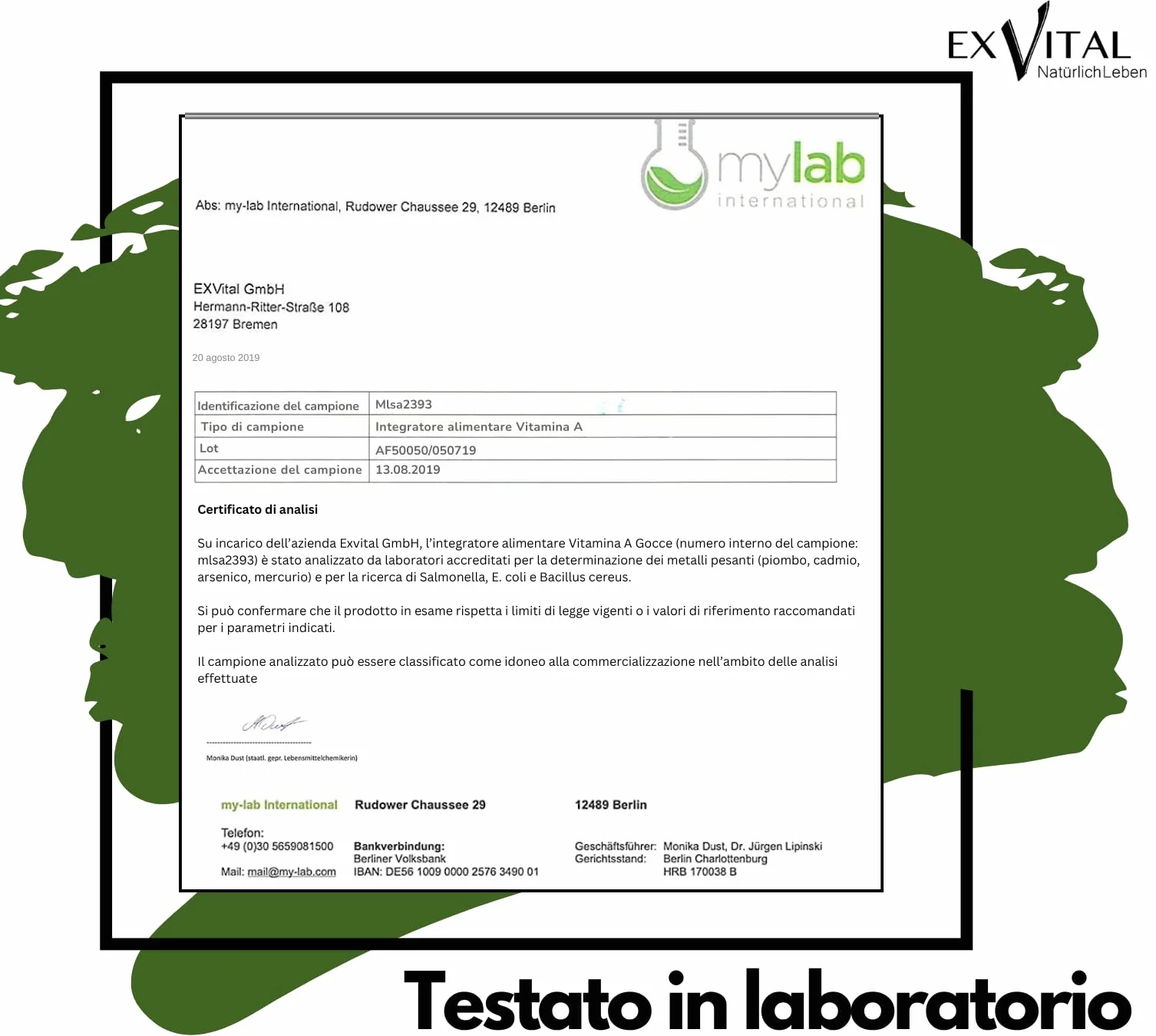 Vitamina A in gocce di EXVital – 5000 UI (1500 µg) per dose giornaliera, 50 ml = 1700 gocce, testata in laboratorio, retinolo ad alto dosaggio – vegana – vitamina A liquida