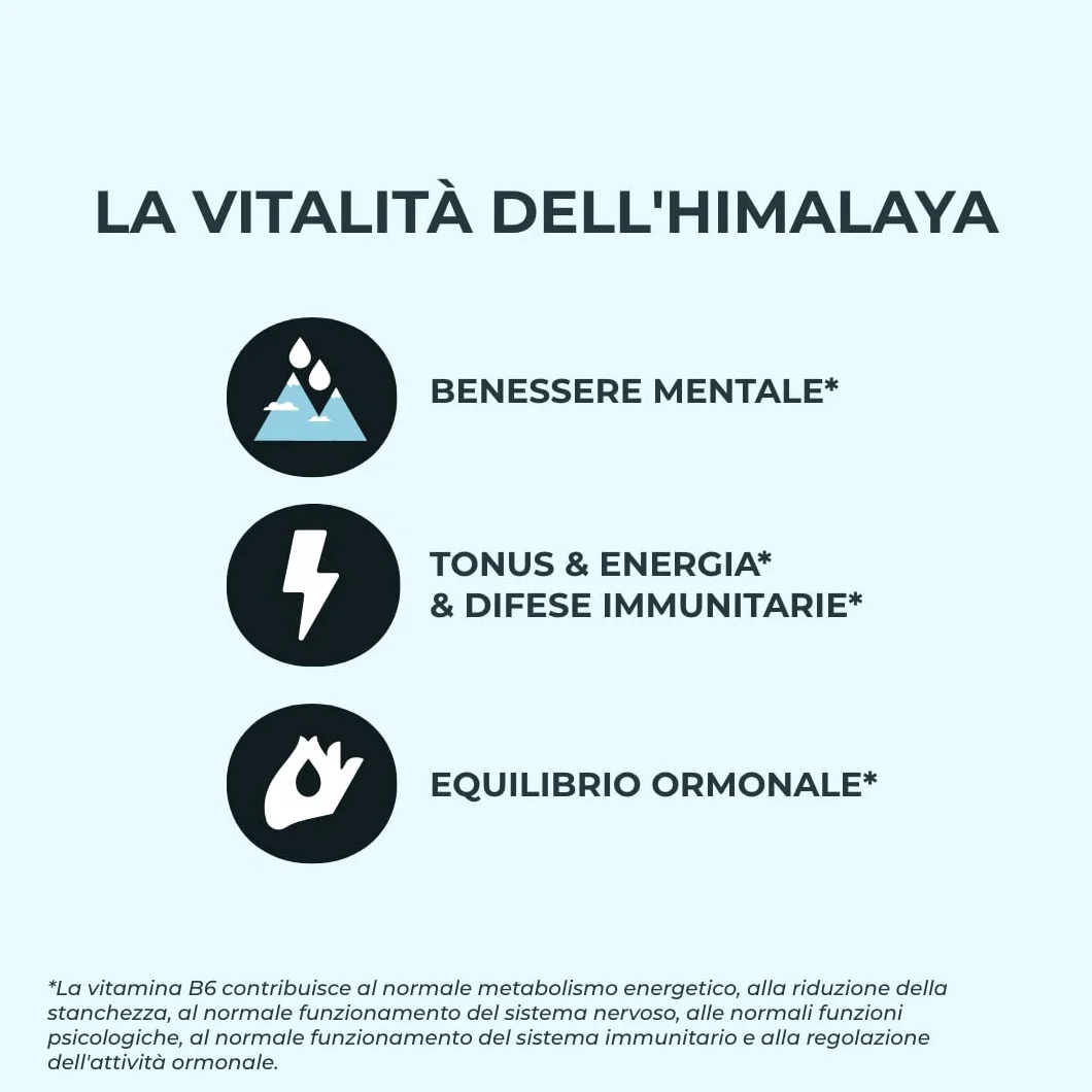 INOLAB Shilajit Puro Originale Himalaya | Titolato al 50% in Acido Fulvico I Integratore per Energia, Equilibrio ormonale, Vitalità maschile e Benessere Mentale I Shilajit Mumijo Capsule Vegan