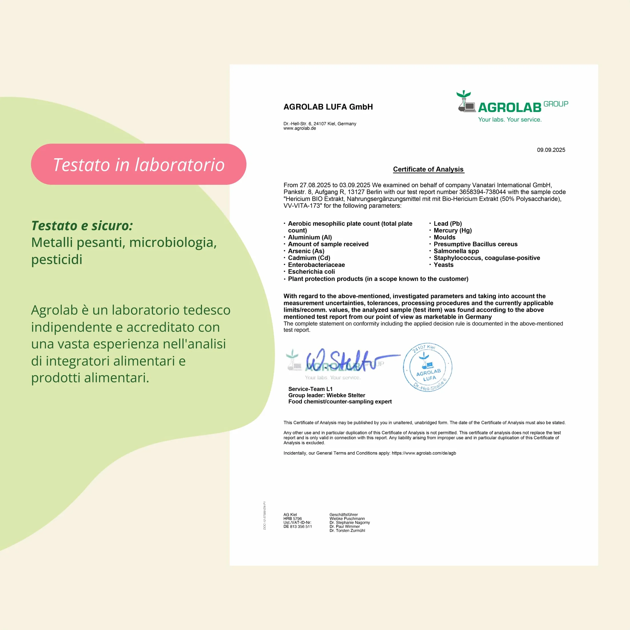 Hericium Erinaceum BIO | 50% di Polisaccaridi | Lions Mane Mushroom Biologico | Testato in Laboratorio | Sistema Immunitario | Vegano e Senza Additivi | Vegavero®