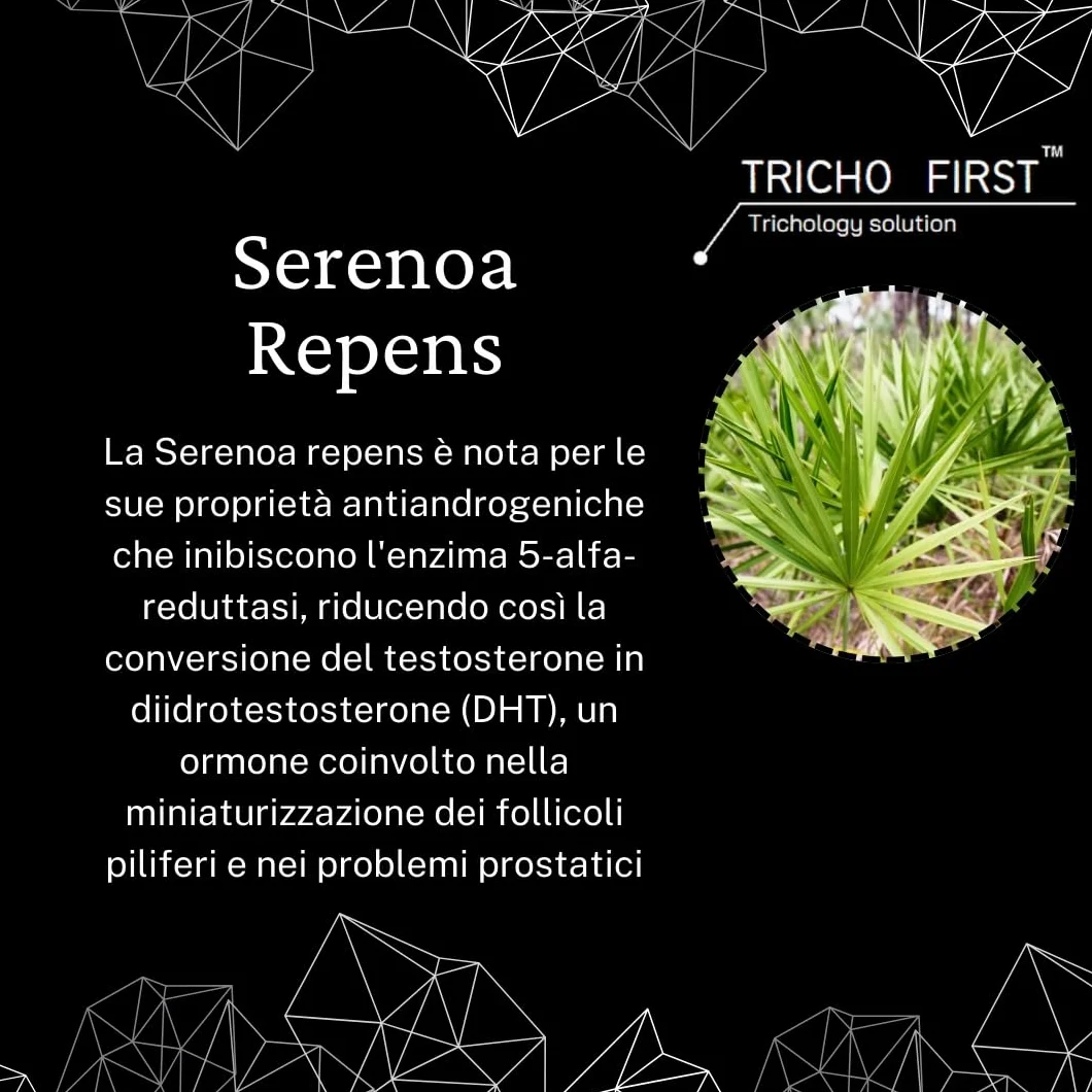 Serenoa Repens 320 mg TRICHO FIRST 90-95% Integratore Prostata Caduta Capelli 60 Perle Andi DHT