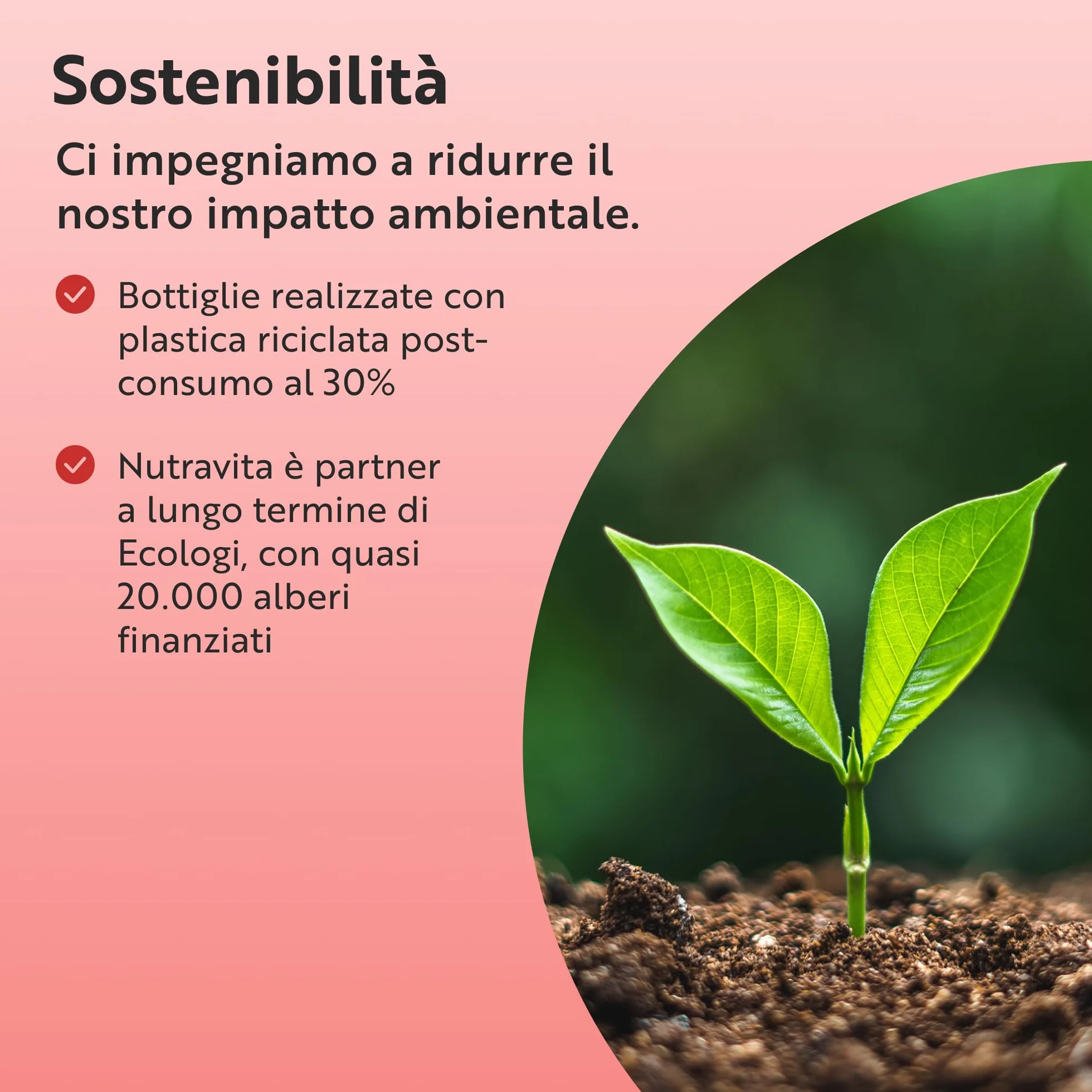 Nutravita Testomax™ 2.0-210 Capsule Vegane - 17 Principi Attivi Tra cui Ashwagandha KSM 66®, CoQ10, Zinco e Radice di Maca - Integratore al Testosterone Uomo - Testosterone Booster Uomo