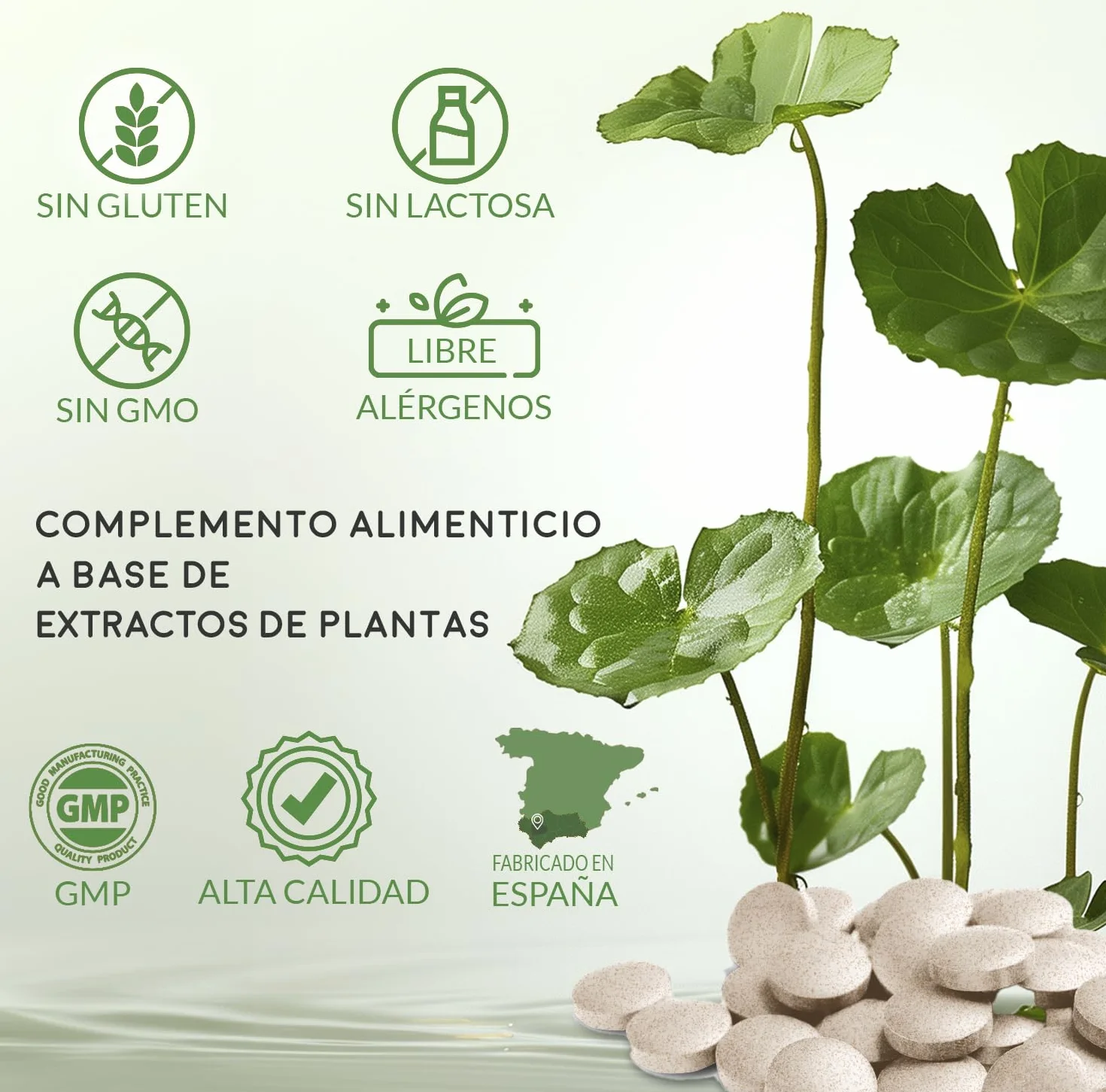 Centella asiatica 400 mg 60 compresse Pack 2 pezzi