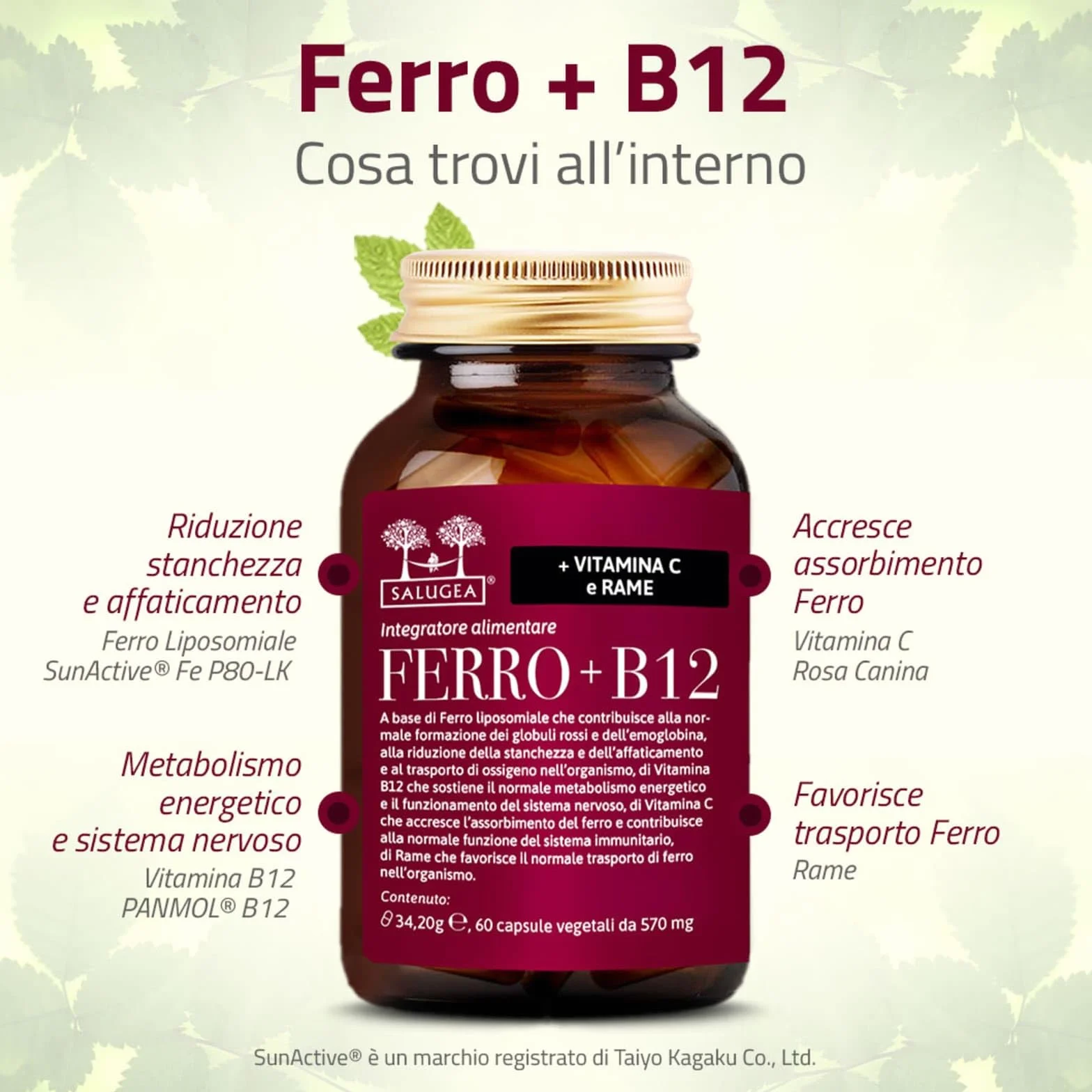 Salugea FERRO + B12 Salugea - Integratore 100% Naturale - Con Ferro liposomiale, Vitamina B12, Rosa Canina (Vitamina C) e Rame - 60 Capsule Vegetali in Flacone in vetro scuro farmaceutico