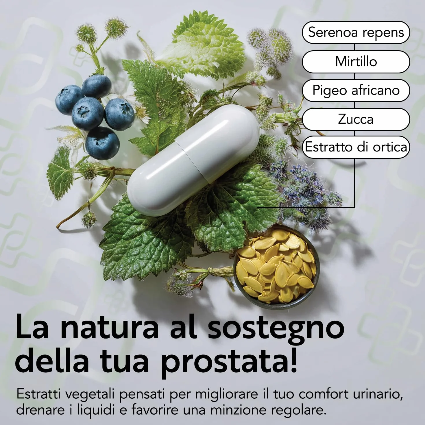 PiùLife Serenoa Repens 700mg Integratore Prostata Saw Palmetto Pygeum Africanum Zucca Ortica 180 Capsule