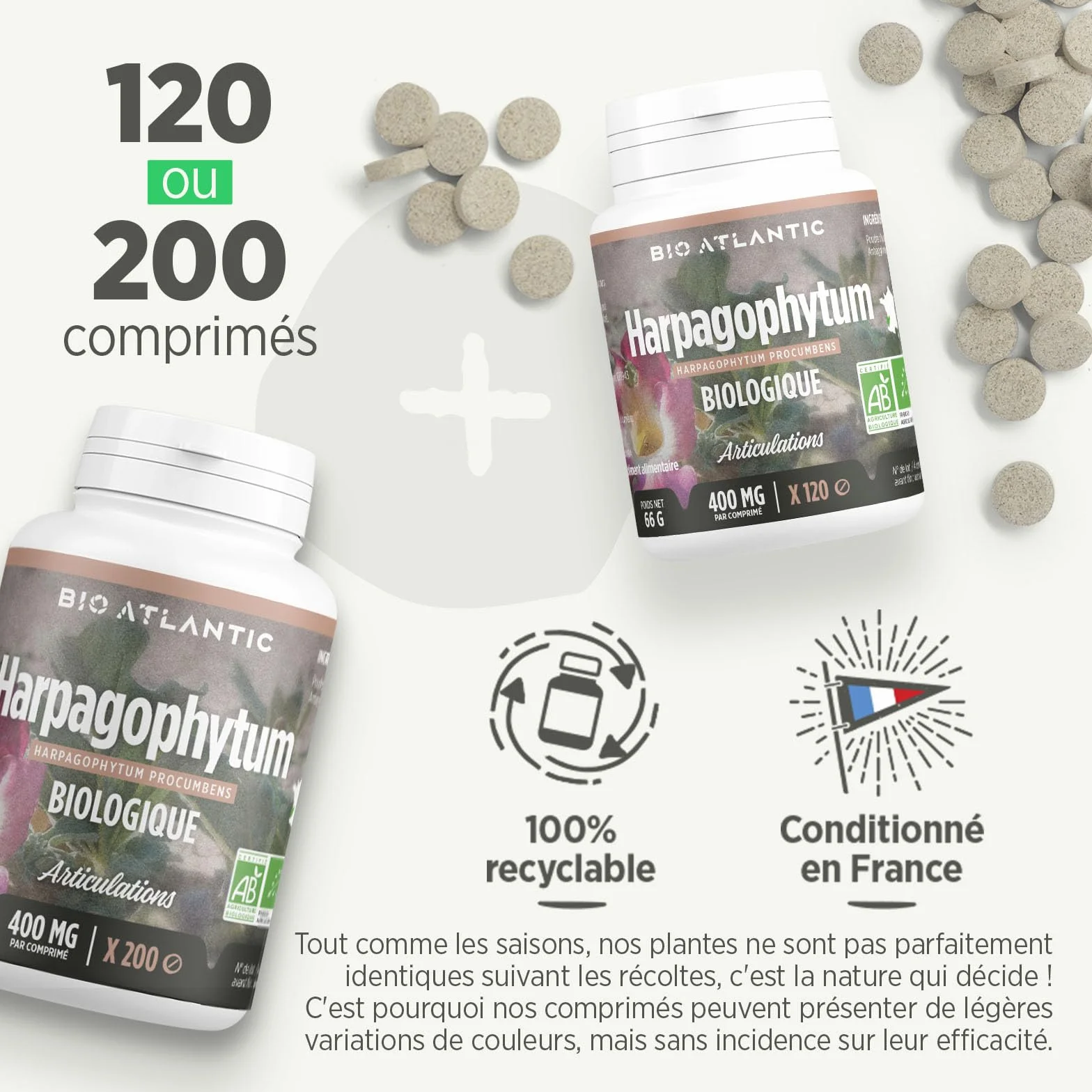 Harpagophytum Bio - 200 compresse