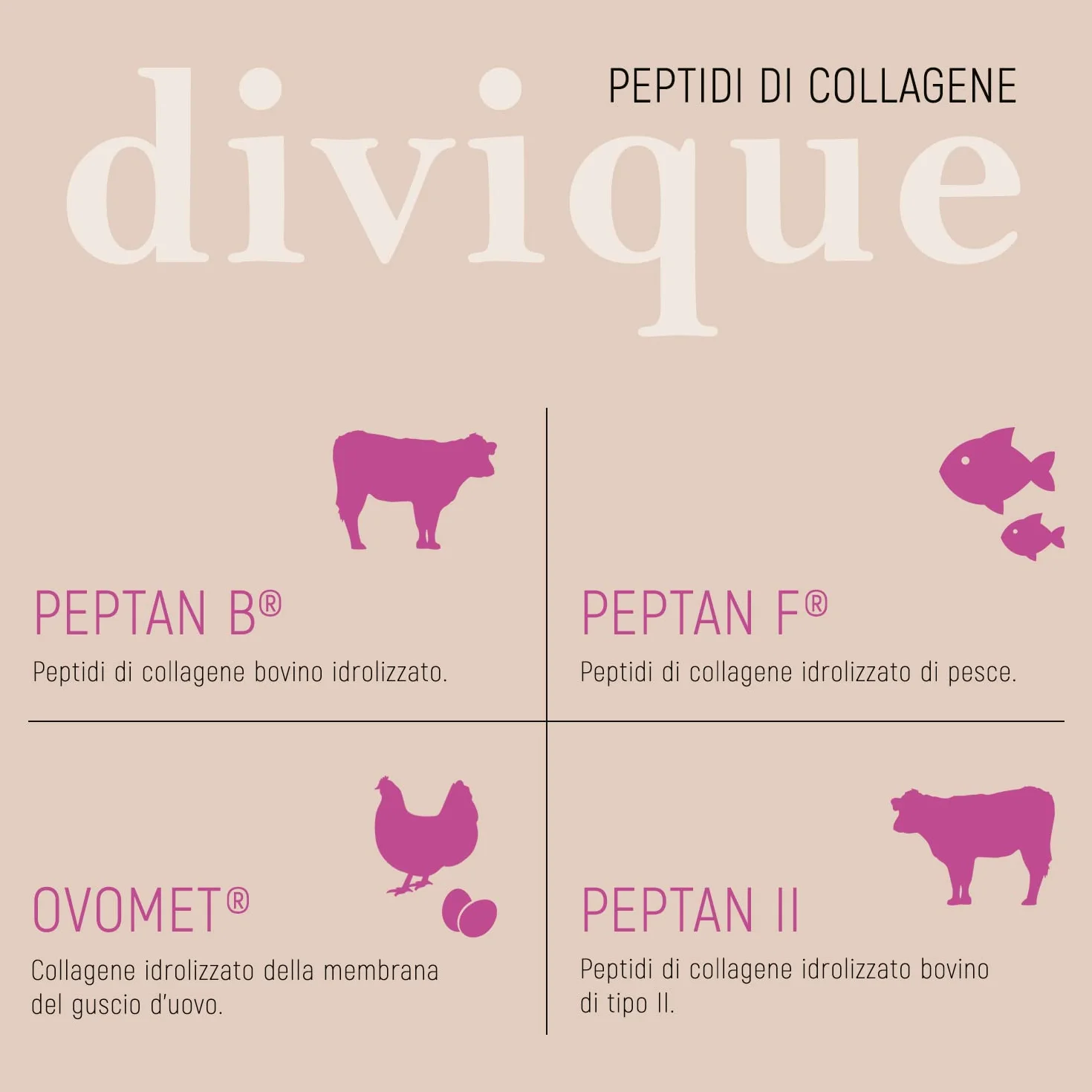 Divique Complesso Premium Polvere di Collagene Tipo 1,2,3,5,10 500g Peptidi Idrolizzati 100% 10.000 mg Insapore