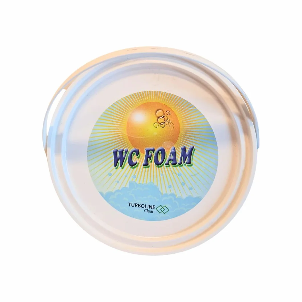 WC Foam Schiuma Detergente per Sanitari, Rimuove Calcare, Ruggine e Disinfetta, 2 kg