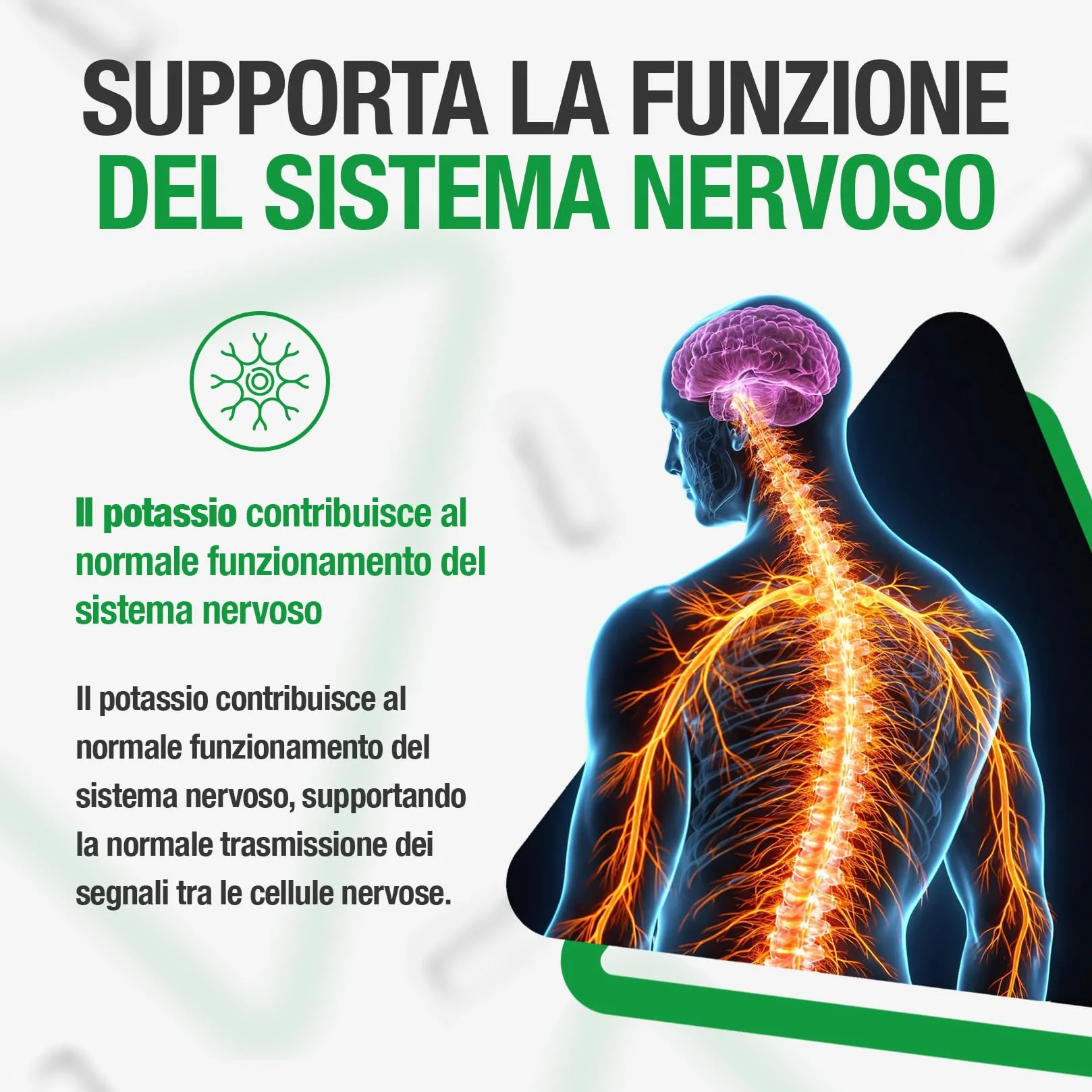 Potassio Integratore Capsule 99mg - 100 pz di Capsule a Disgregazione Rapida con 99 mg Gluconato di Potassio Polvere Puro Qualità Premium