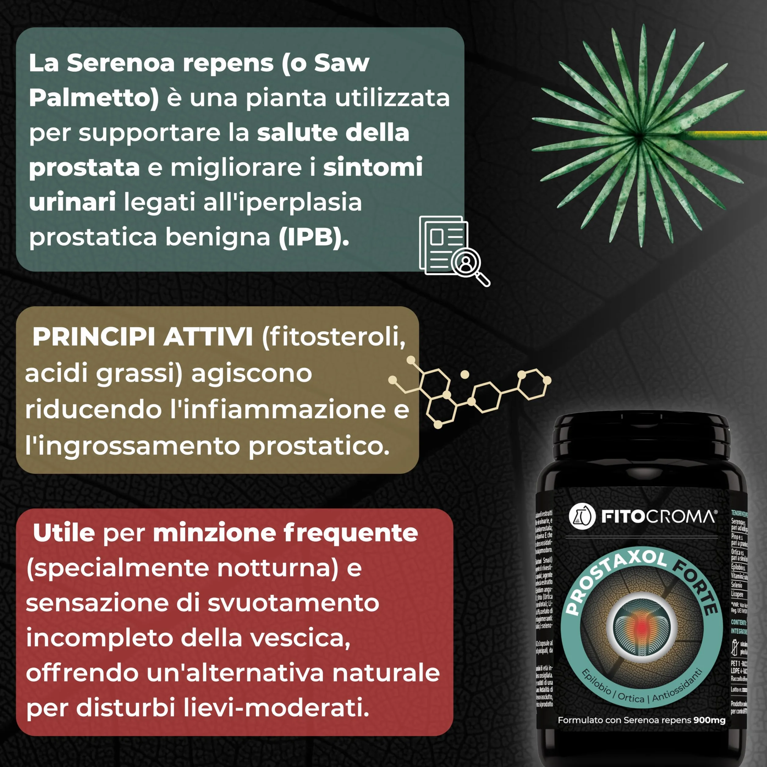 SERENOA REPENS FORTE 900MG 180 capsule Saw palmetto prostata Integratore prostata con Ortica Epilobio Licopene Vit E Selenio Proantocianidine