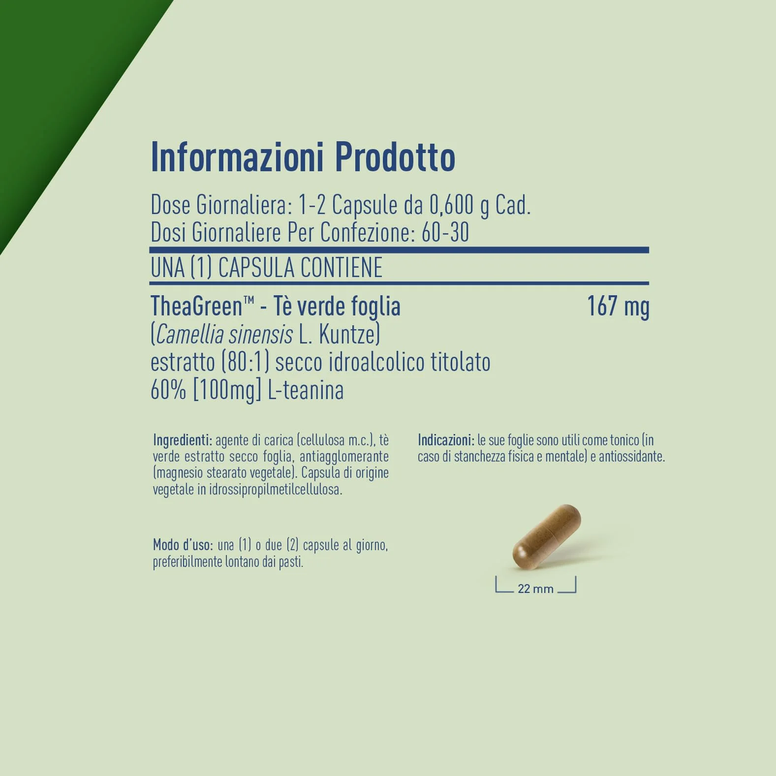 LongLife® L-Theanine | Con L-teanina da tè verde 100mg | Rilassamento e concentrazione | Antiossidante | Fino a 2 mesi di trattamento | Vegano e senza glutine