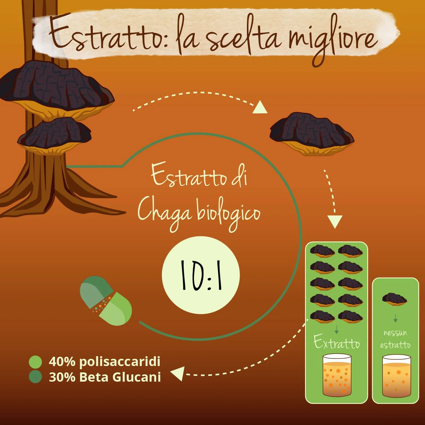 CHAGA BIO Vegavero® | 6000 mg (10:1) | Fungo Inonotus Obliquus | con 40% di Polisaccaridi e 30% di Beta Glucani | 120 capsule | Vegan