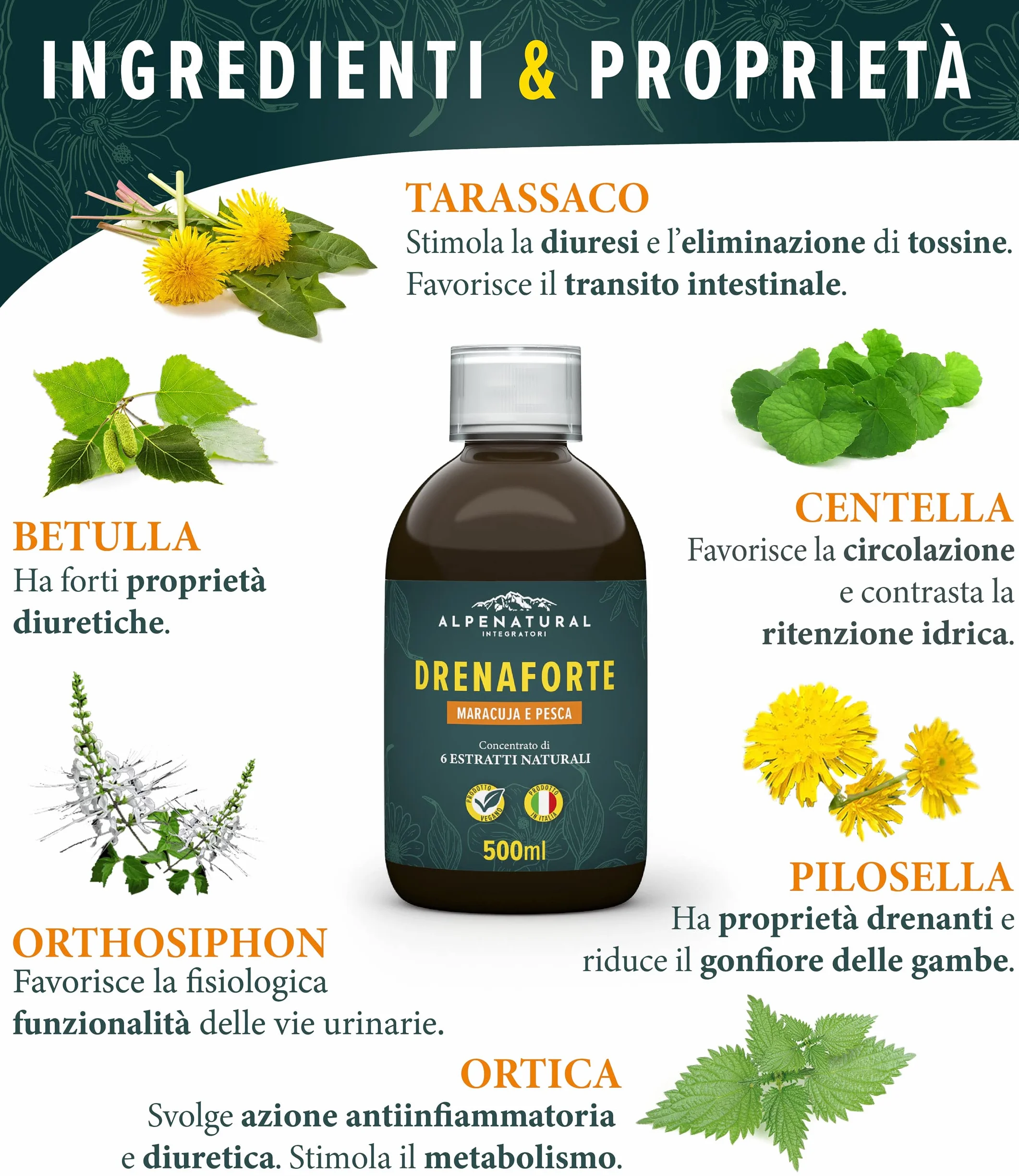 Drenaforte Drenante Forte Concentrato di 6 Estratti Naturali Detox Depurativo Naturale 500 ml
