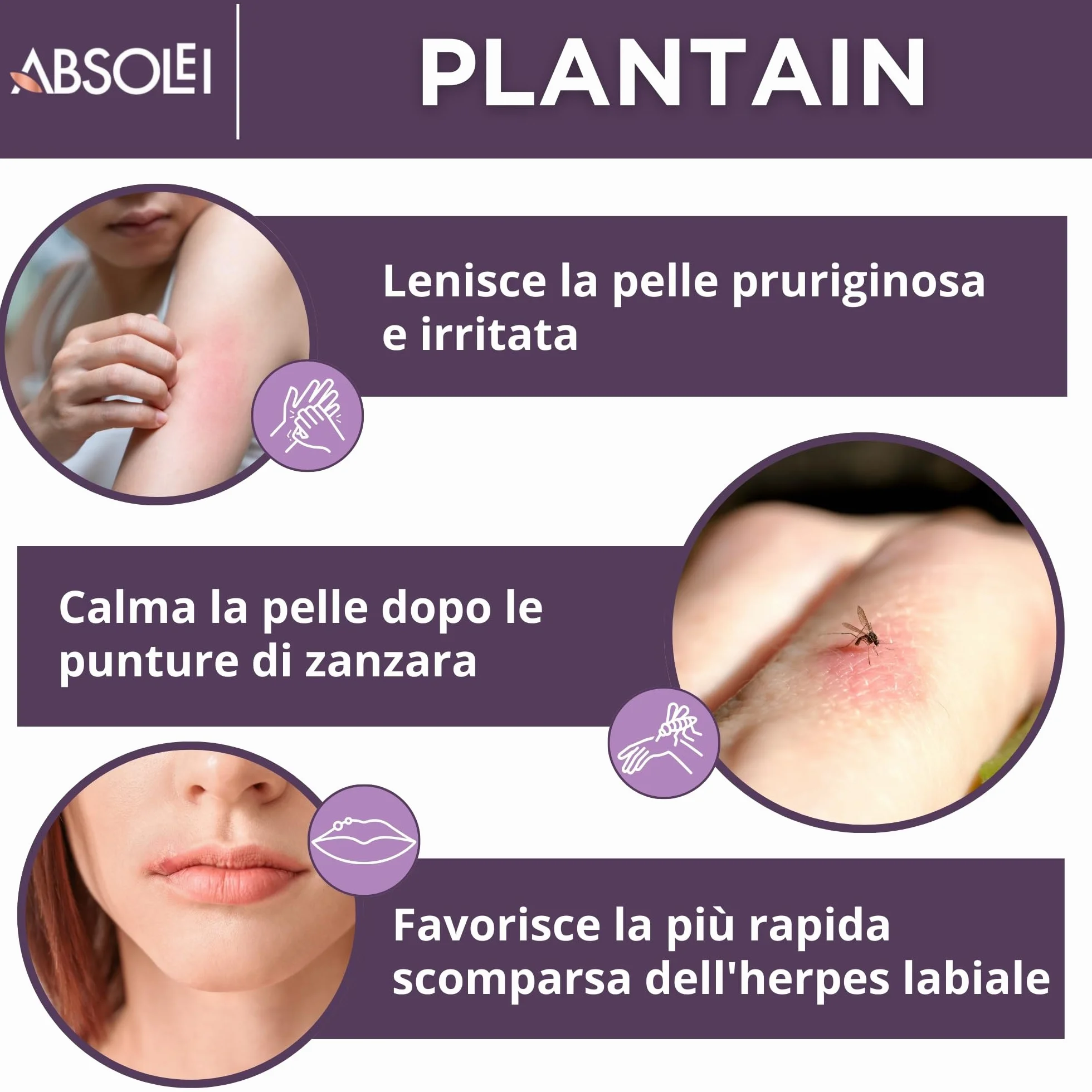Pomata Piantaggine, Pomata Naturale contro Prurito, Eruzioni Cutanee e Punture di Zanzare, 40 ml