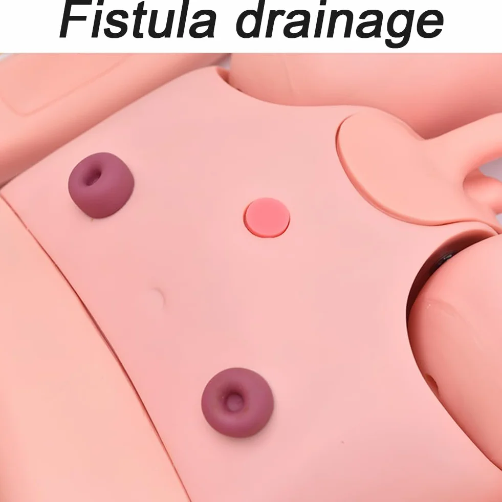 DRXRD Manichino Infermieristico per Rianimazione con Moduli di Decubito, Ferita e Amputazione + Abito Paziente