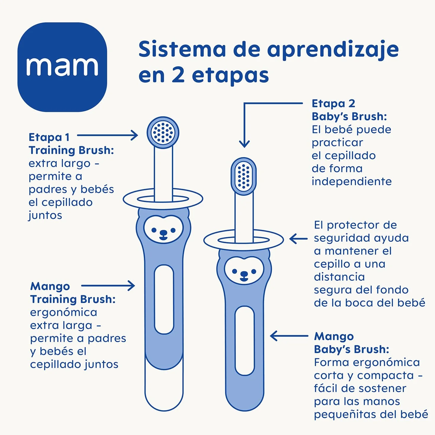 MAM Learn to brush Set C150 - Set di 2 spazzolini da denti: manico lungo e manico corto, con anello di sicurezza, per bambini dai 6 mesi, blu, 2 pezzi