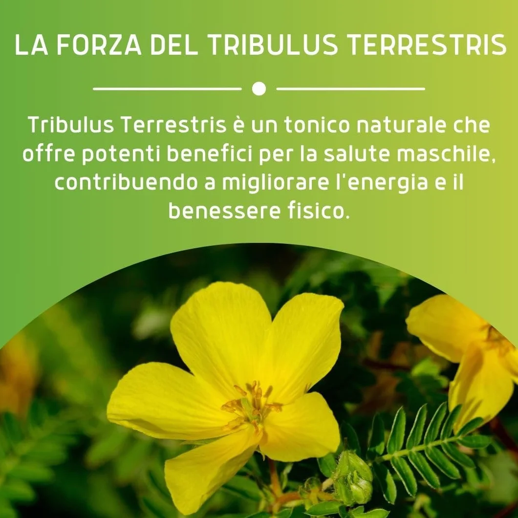 ERBEX Tribulus Terrestris 100% Naturale 360mg Saponine Steroidee Vigore Fisico Vitalità Uomini