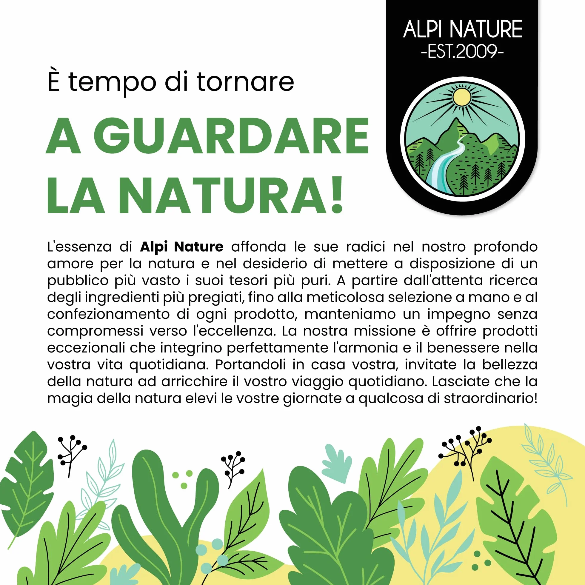 Alpi Nature Ortica Foglie in Polvere 250g, Foglie di Ortica Essiccate e Macinate, Urtica dioica