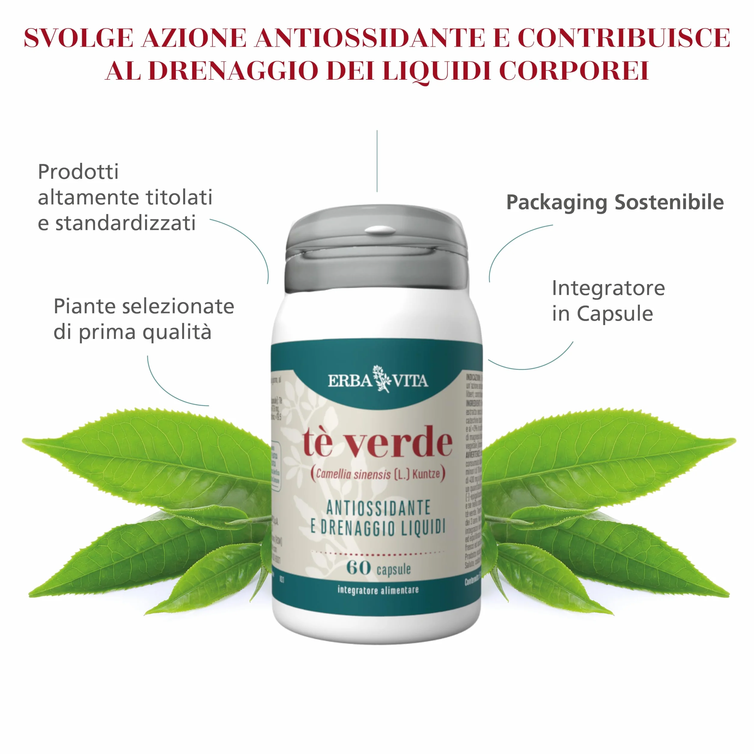 ERBA VITA Integratore Alimentare di Tè Verde - 60 Capsule - Svolge azione antiossidate e contrasta i radixali liberi