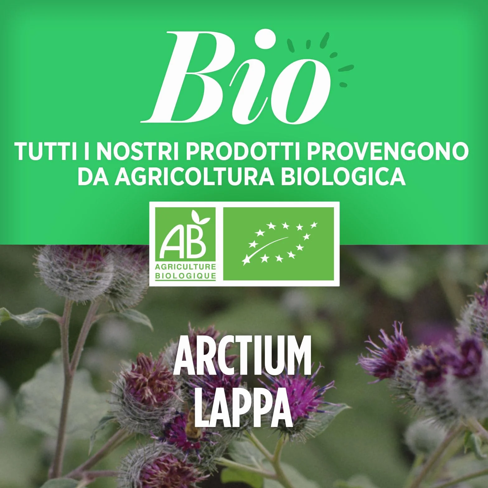 Bardana Bio 400 mg - 200 compresse