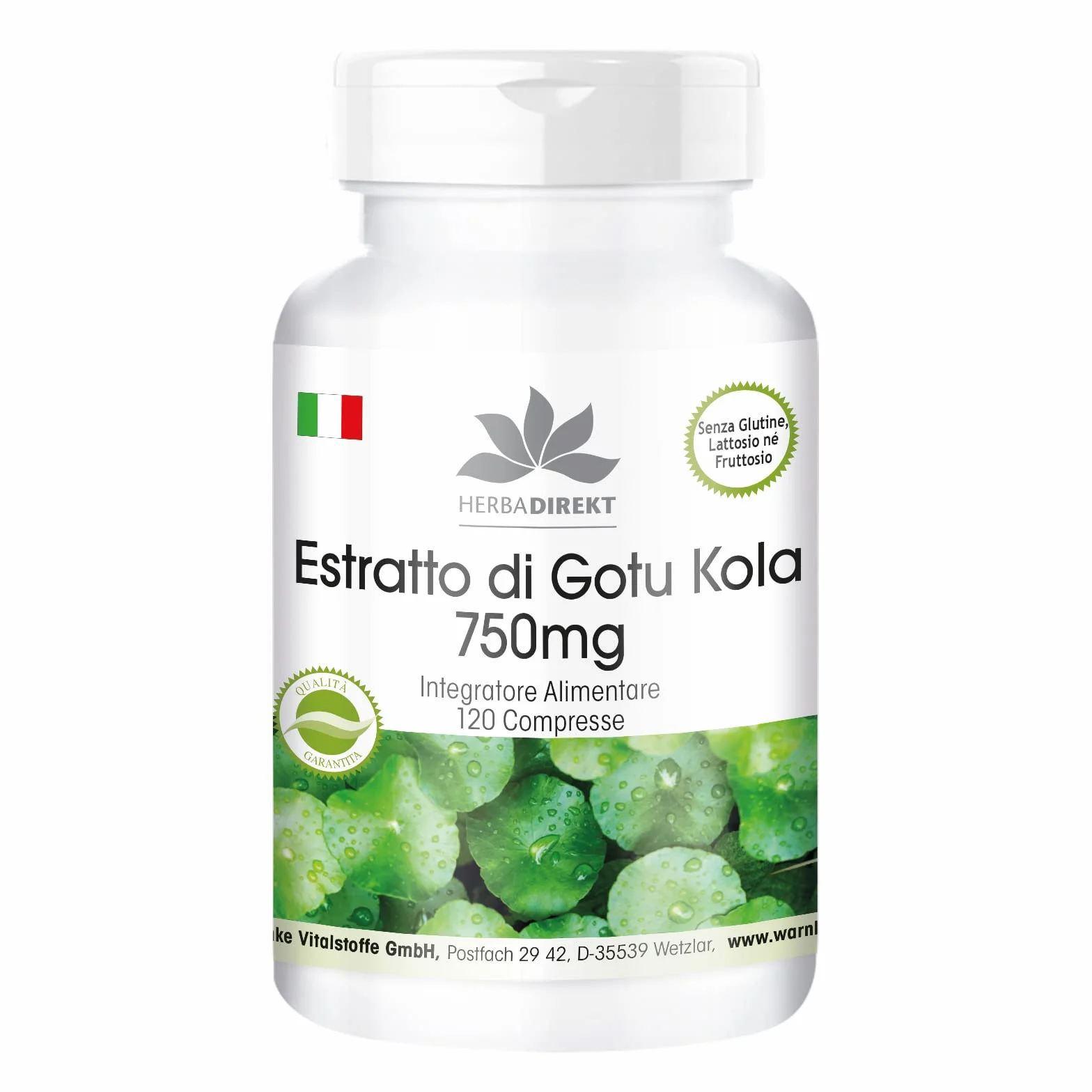 Gotu Kola 750mg estratto ad alto dosaggio con zinco e vitamina C 120 compresse vegan HERBADIREKT by Warnke Vitalstoffe