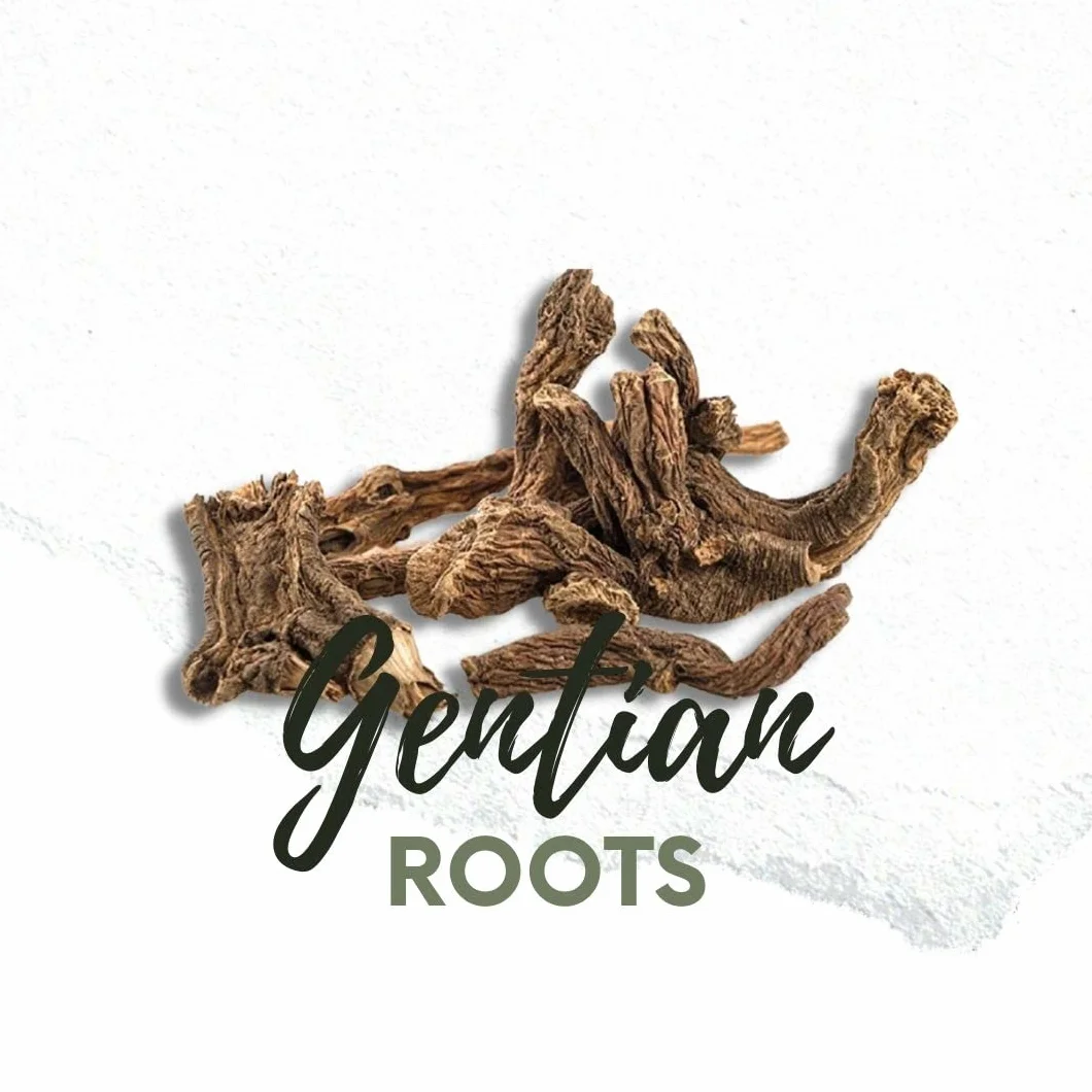 Genziana radice Intera 200g Radici Naturali per Liquori e Digestivi