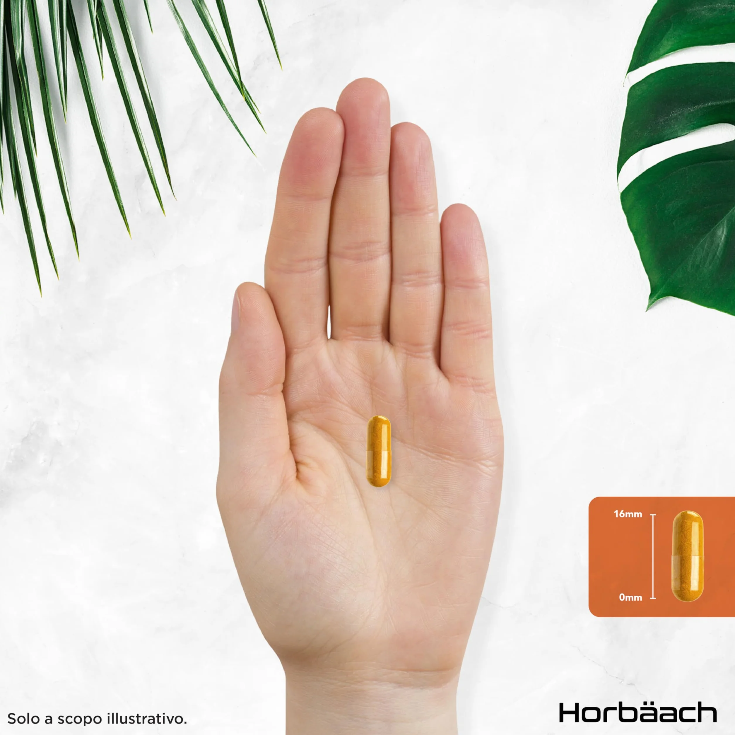 Curcuma Capsule 7500mg Horbaach Alta Dosaggio Curcumina e Piperina Turmeric and Black Pepper