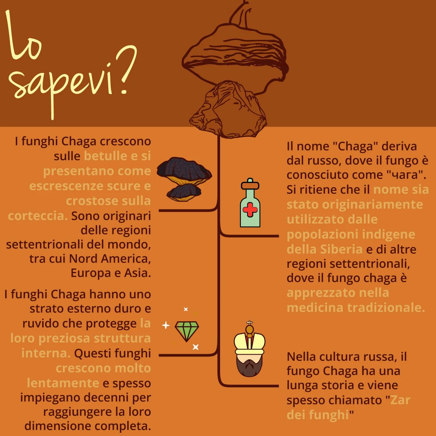 CHAGA BIO Vegavero® | 6000 mg (10:1) | Fungo Inonotus Obliquus | con 40% di Polisaccaridi e 30% di Beta Glucani | 120 capsule | Vegan