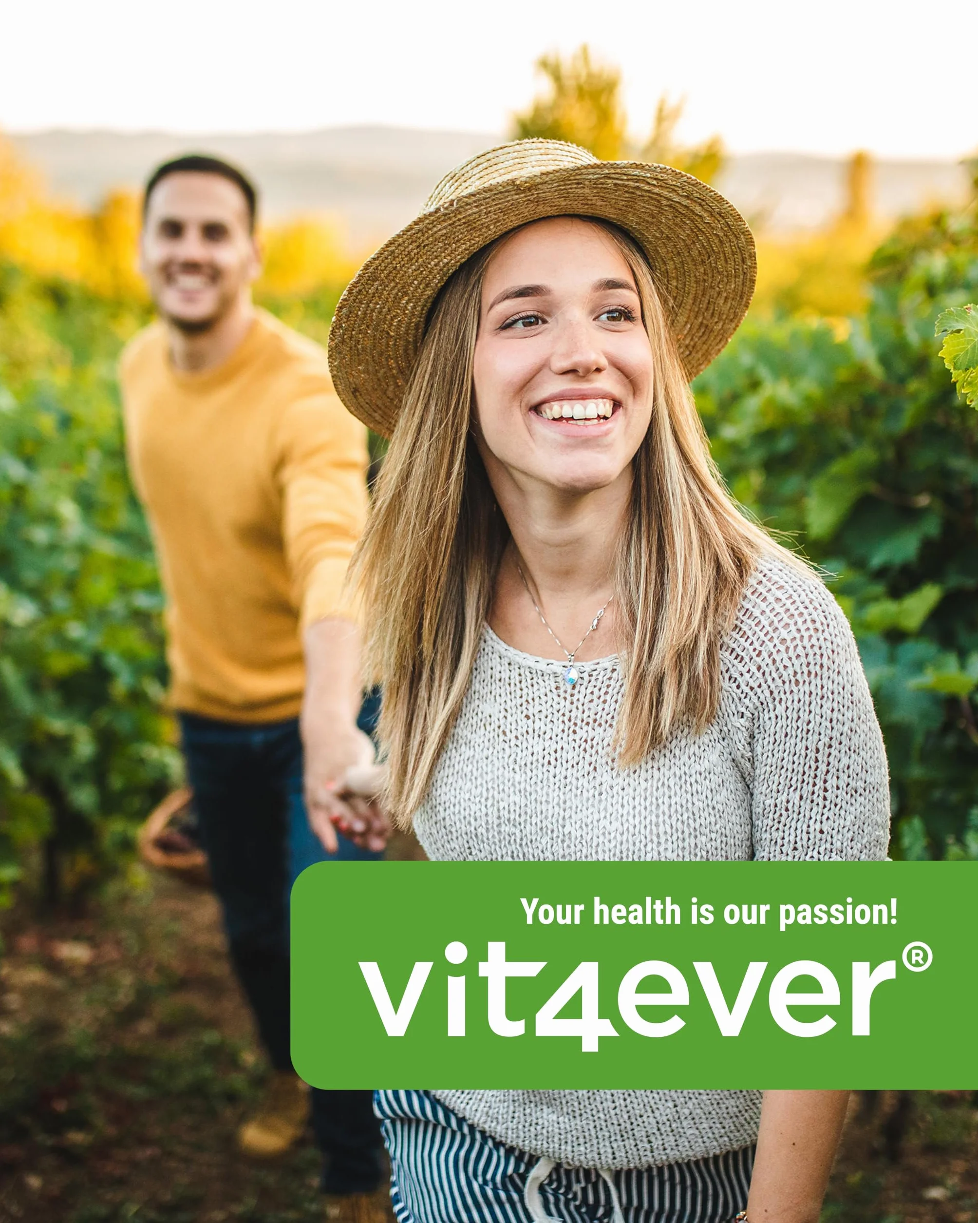 Vit4ever Ginkgo Biloba 6000 mg 365 Compresse Estratto Premium con Flavonglicosidi Ginkgolidi Lattoni Terpenici Alto Dosaggio Vegano