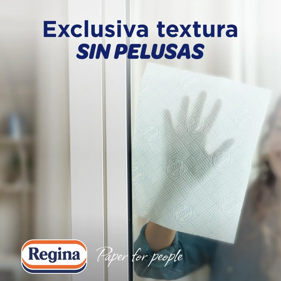 Regina Blitz - Carta da cucina | 5 rotoli | 100 fogli a 3 strati | Ideale per la pulizia delle superfici domestiche | senza pelucchi | Imballaggio in carta riciclabile | Carta 100% certificata FSC