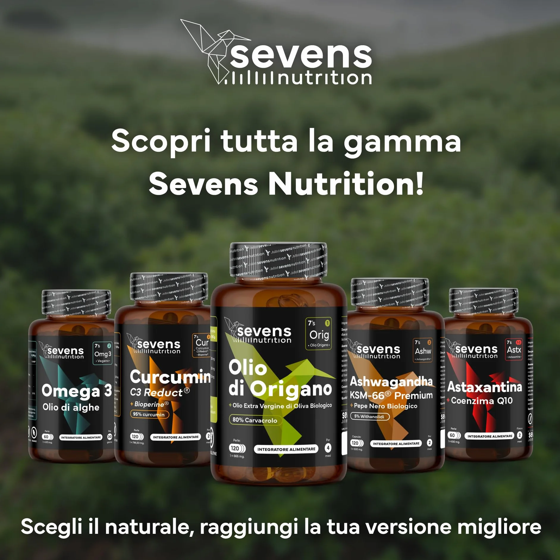 Olio di Origano Capsule 160 mg Carvacrolo 120 Softgel Supporto Immunitario