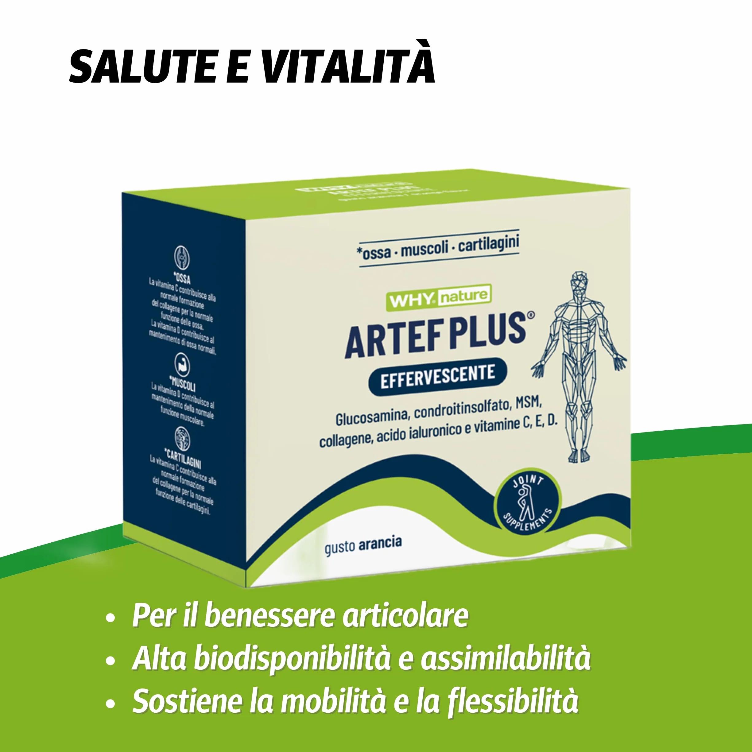 WHY NATURE ARTEF PLUS - Integratore Alimentare Ossa e Cartilagine - Con Vitamina C, Vitamina D3, Vitamina E, Acido Ialuronico - Gusto Arancia - Senza Glutine - 24 Bustine