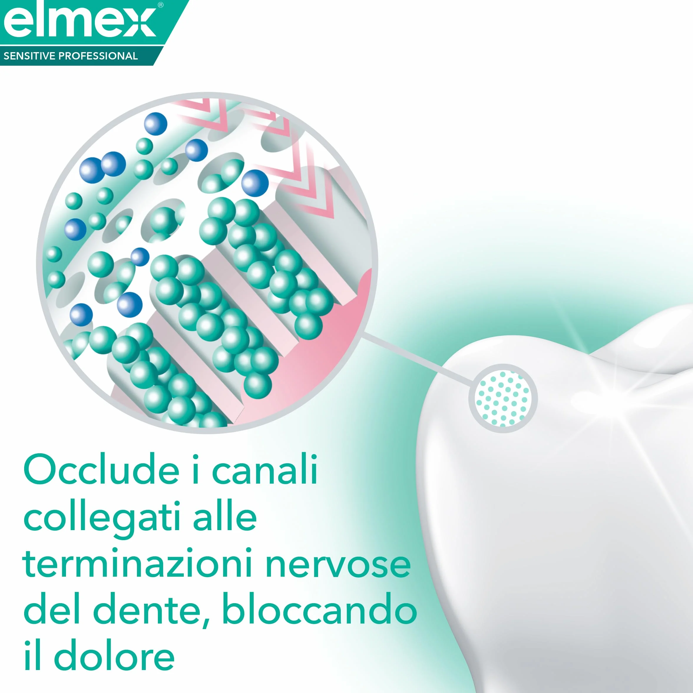 elmex Collutorio Sensitive Professional 400 ml con fluoro 0% Alcohol