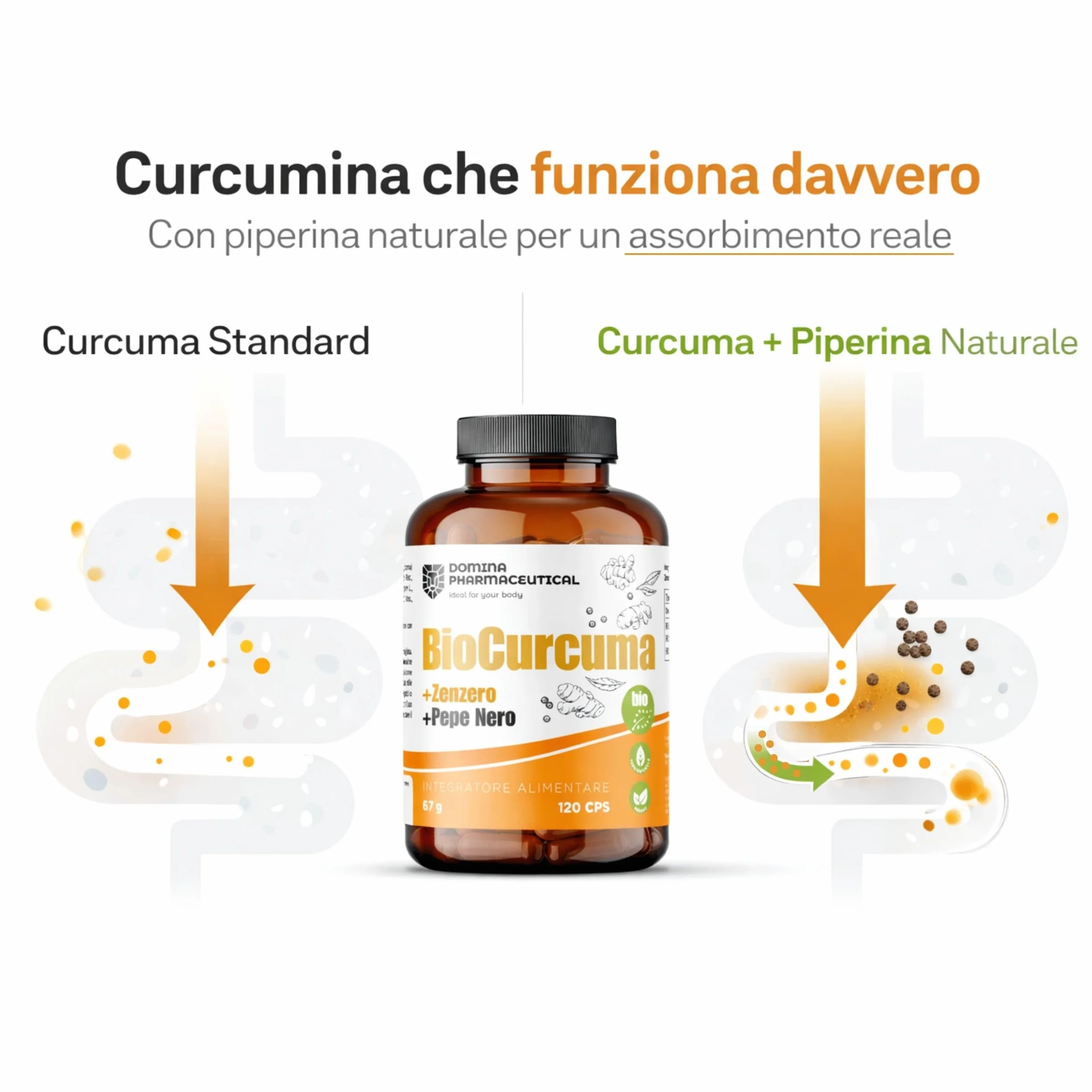 BioCurcuma Curcumina e Piperina 120 Capsule Antinfiammatorio Naturale Made in Italy