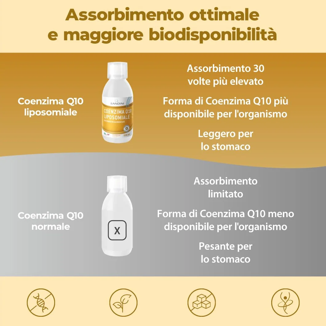 Bandini® Coenzima Q10 Liposomiale 200mg | Ubichinone Coq10 Alto Dosaggio 250ml - CAVAQ10® ad Alta Biodisponibilità, Vegano da Fermentazione del Mais | Coenzyme Q 10 | Migliore Antiossidante | Pelle