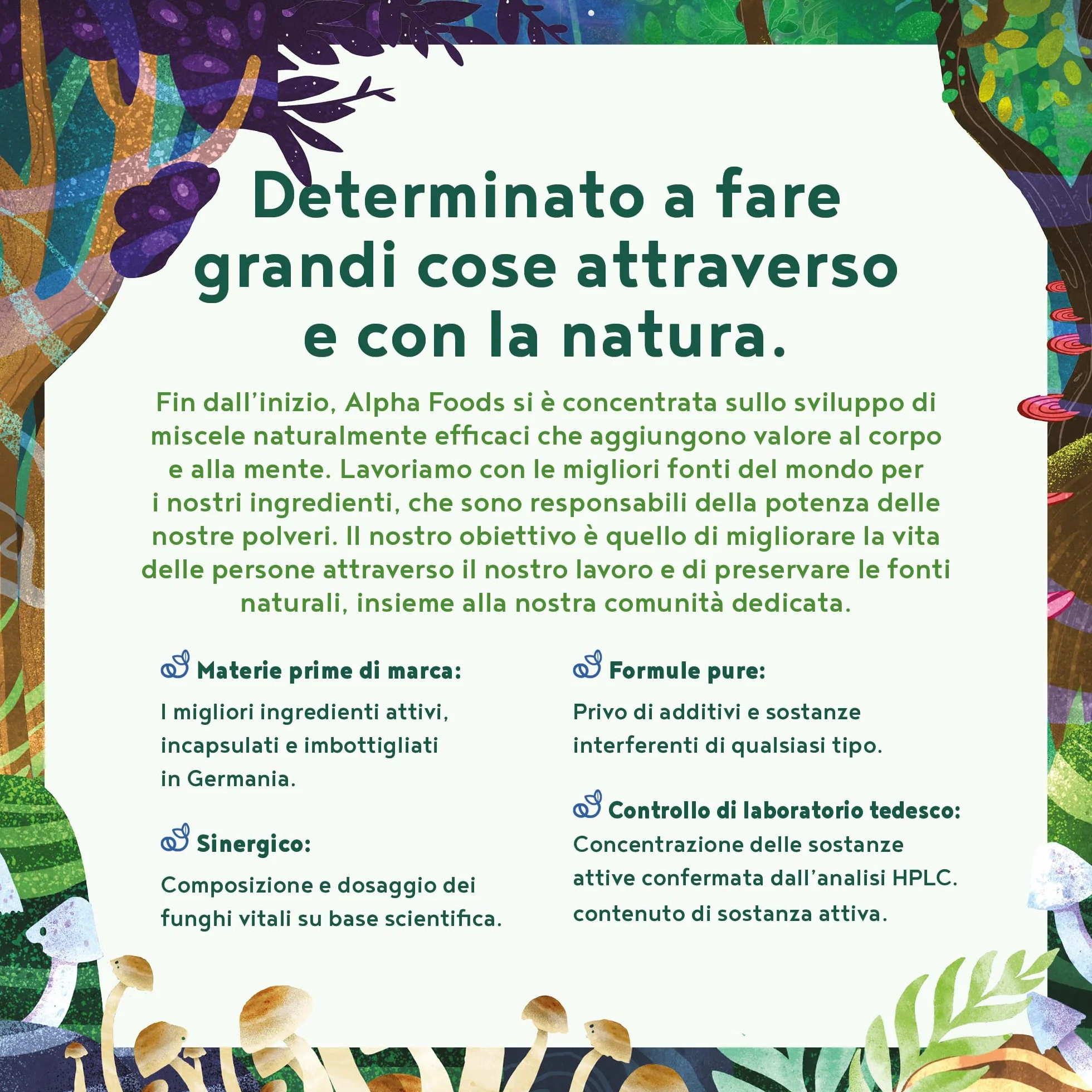 Funghi Funzionali con Maitake, Funghi Shiitake, Cordyceps, Fungo Reishi, Agaricus, Lions Mane | Integratore Multivitaminico Completo per Difese Immunitarie Adulti e Salute del Cuore | Alpha Foods