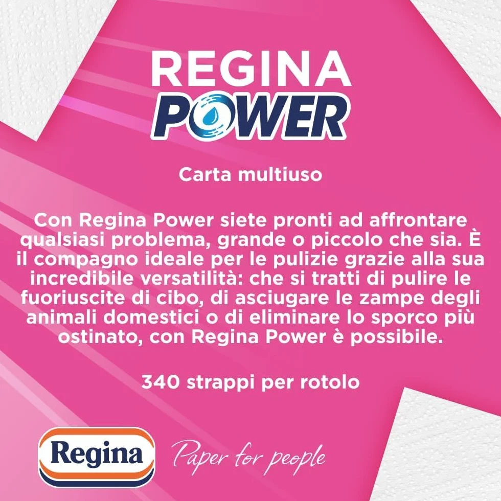 Regina Power Carta Multiuso 250 Fogli 2 Veli Pulizia Superfici FSC