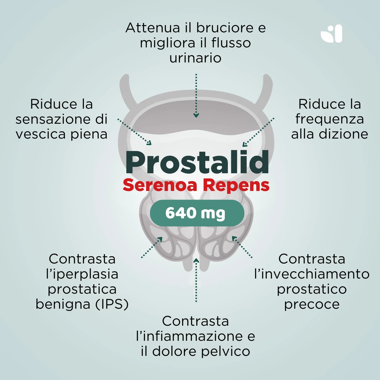 SERENOA REPENS 640MG 180 CAPSULE Saw Palmetto Integratore Prostata con Licopene Pygeum Africanum Zucca Ortica
