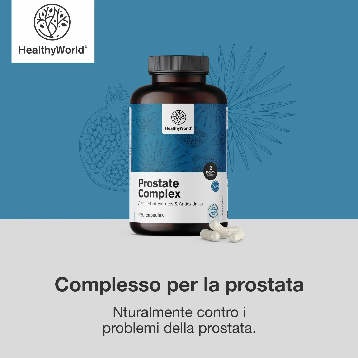 HealthyWorld Complesso Per la Prostata 120 Capsule Vegetali con Semi di Zucca, Melograno, Ortica, Saw Palmetto, Vitamina E, Zinco e Selenio