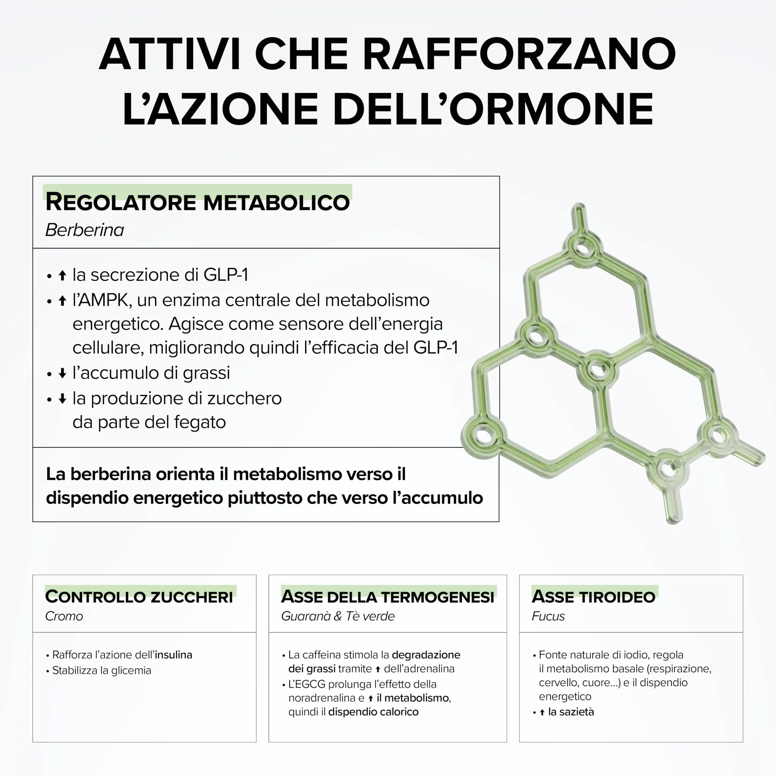 GLP-1 Boost – Con Berberina – Cromo 250 µg – Tè Verde, Fucus & Guaranà – Sazietà & Glicemia – Metabolismo – 100% Vegano – 60 capsule – Prodotto in Francia – Beyond Elements
