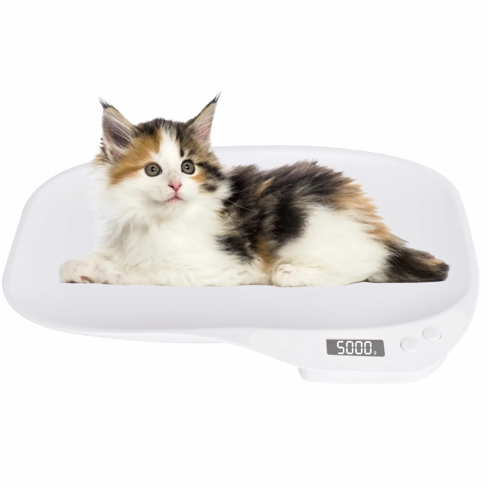Bilancia Digitale per Animali Domestici 15 kg 4 Modalità di Pesatura Cani Gatti Neonati