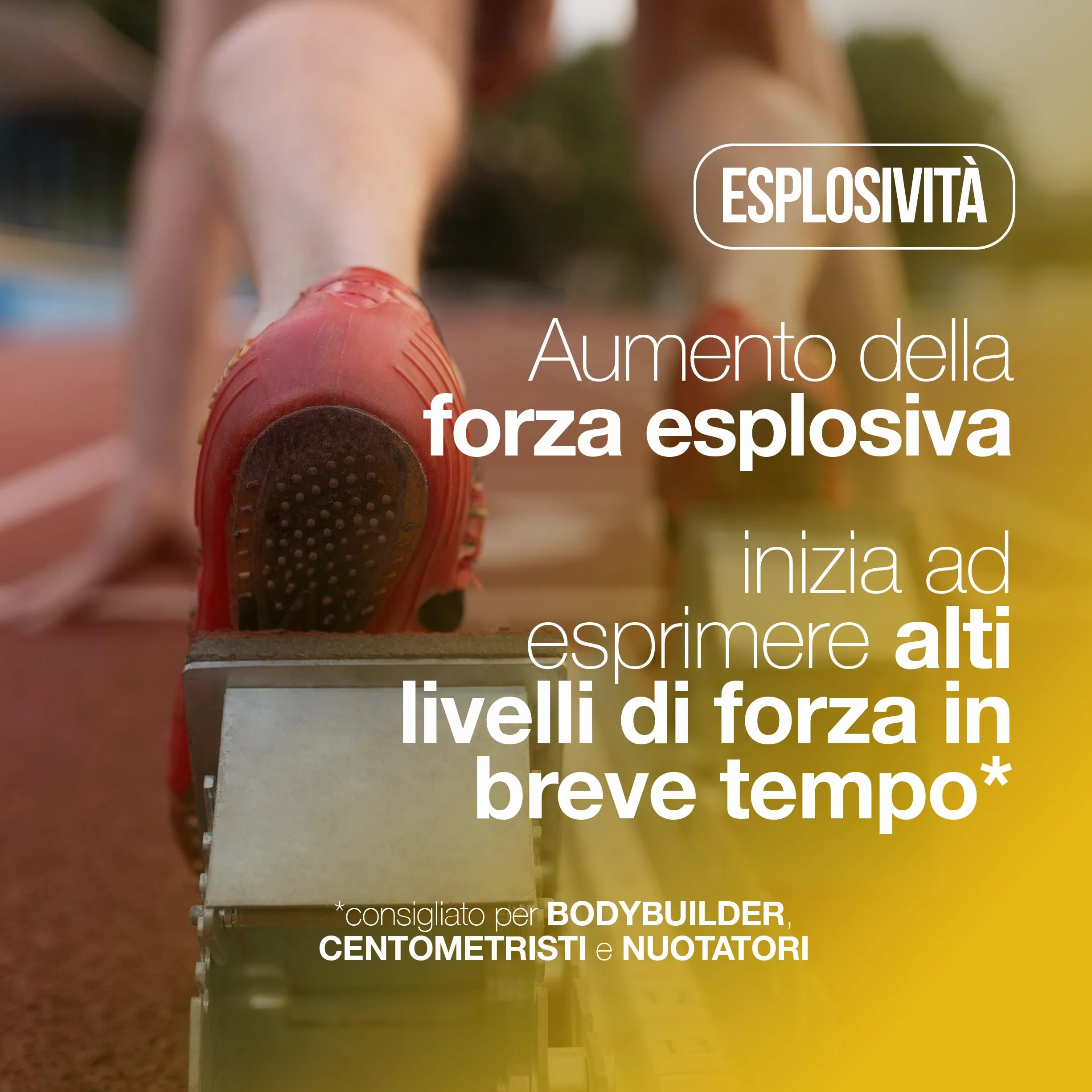 Creatina Monoidrata 120 Compresse 3000mg per dose, Creatine Monohydrate per Massa Muscolare, Pre e Post Workout, Made in Italy, Vegan