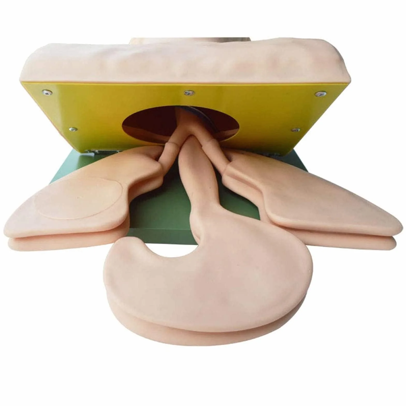 Manichino di intubazione adulto in PVC per insegnamento, modello vie aeree 220V