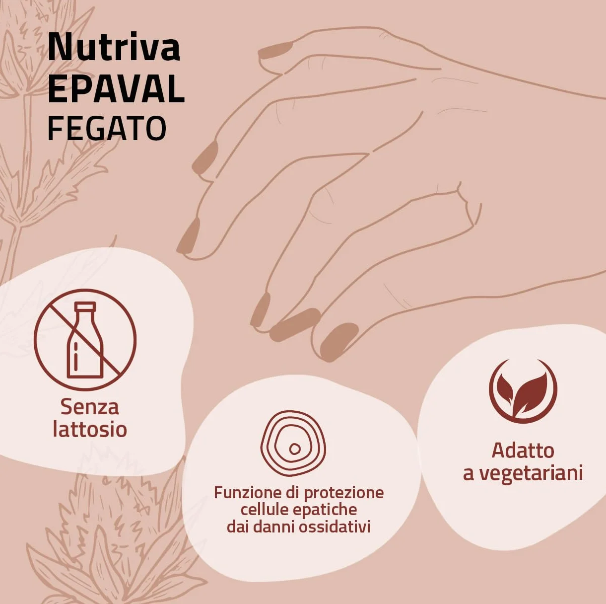 NUTRIVA Epaval Integratore Alimentare Betaina Colina Inositolo Metionina N-acetilcisteina 50 Capsule