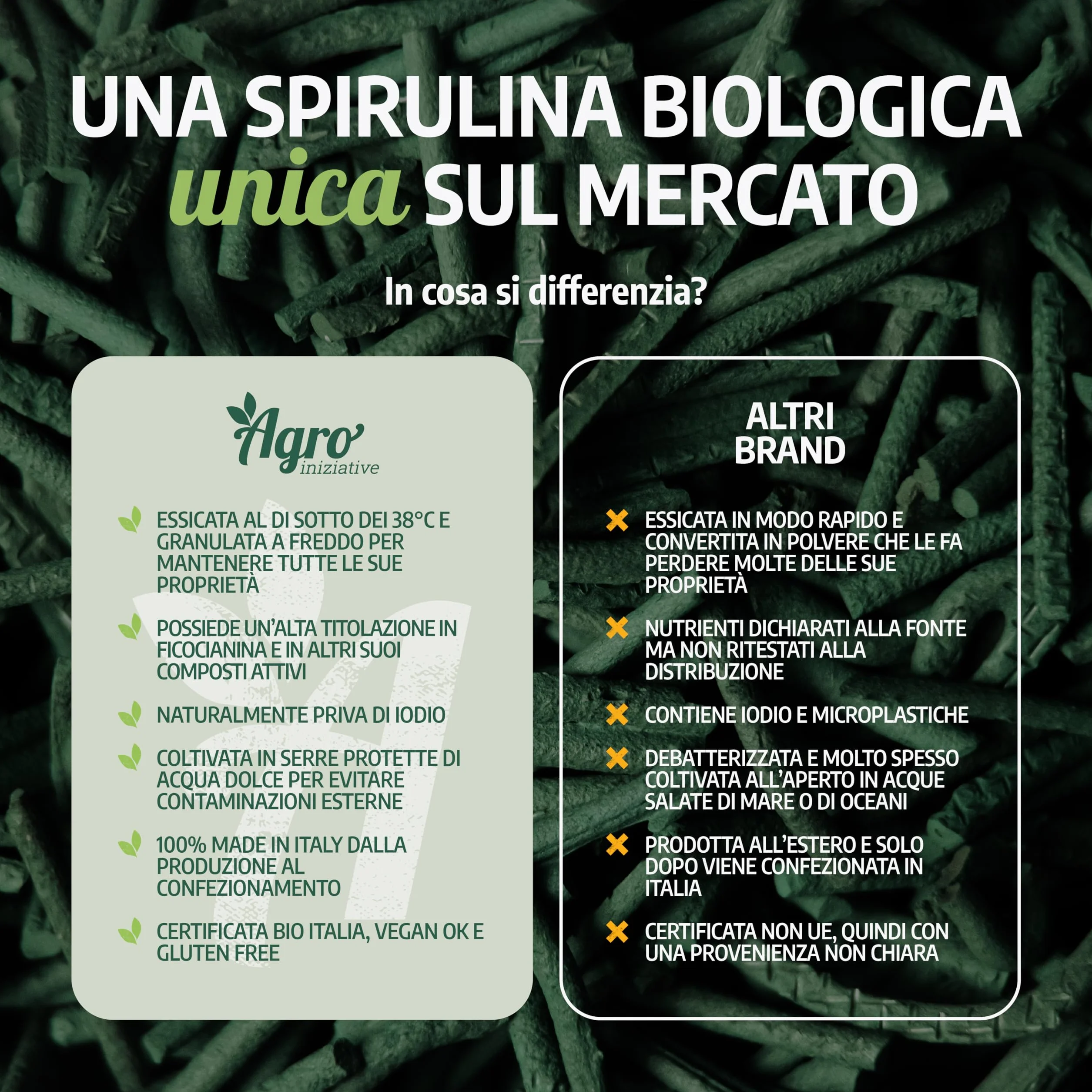 AGROINIZIATIVE SPIRULINA BIO 100 Cps Integratore Spirulina Pura 500 Mg Senza Glutine