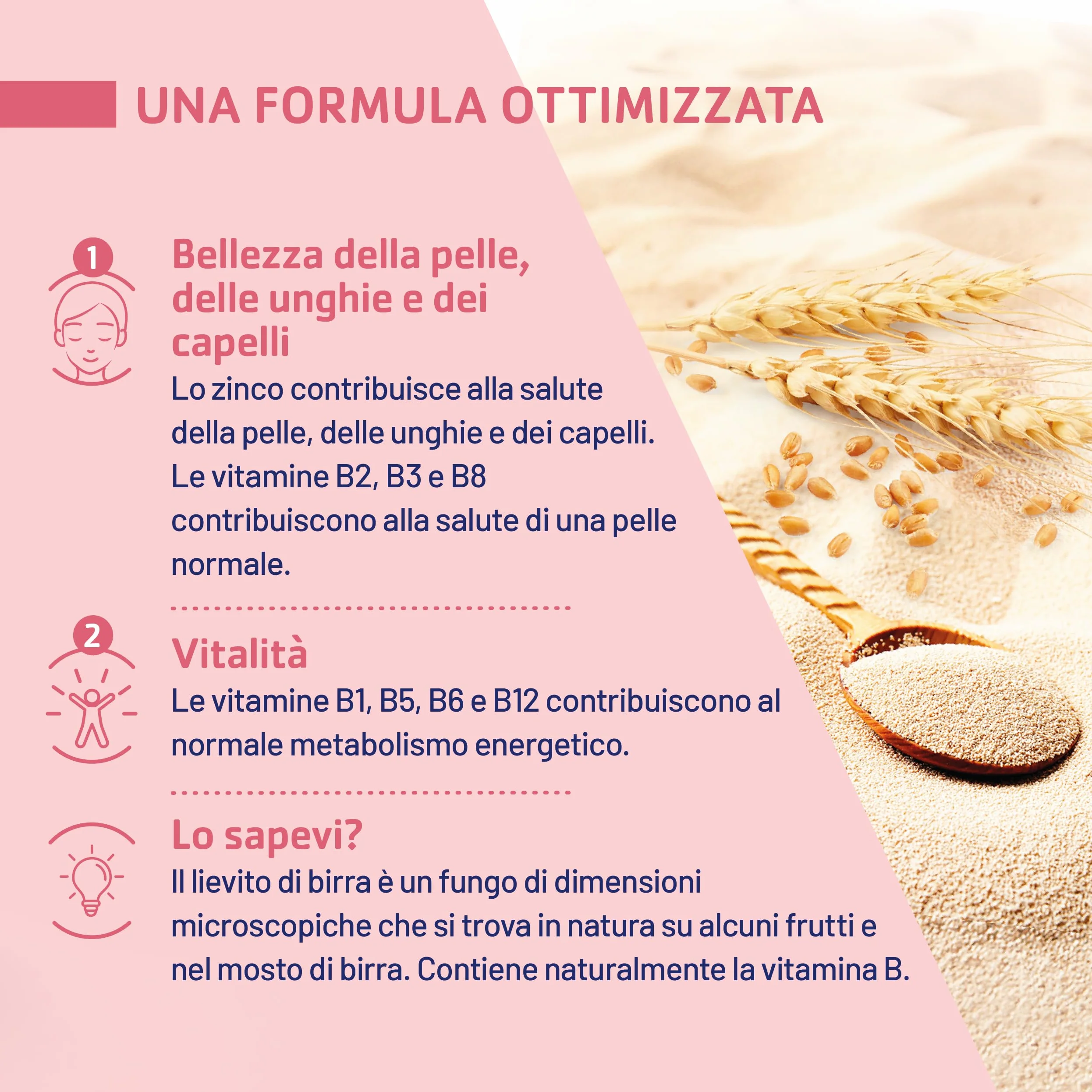 JUVAMINE Lievito di birra, bellezza pelle capelli unghie, vitamine B + zinco, programma 5 mesi