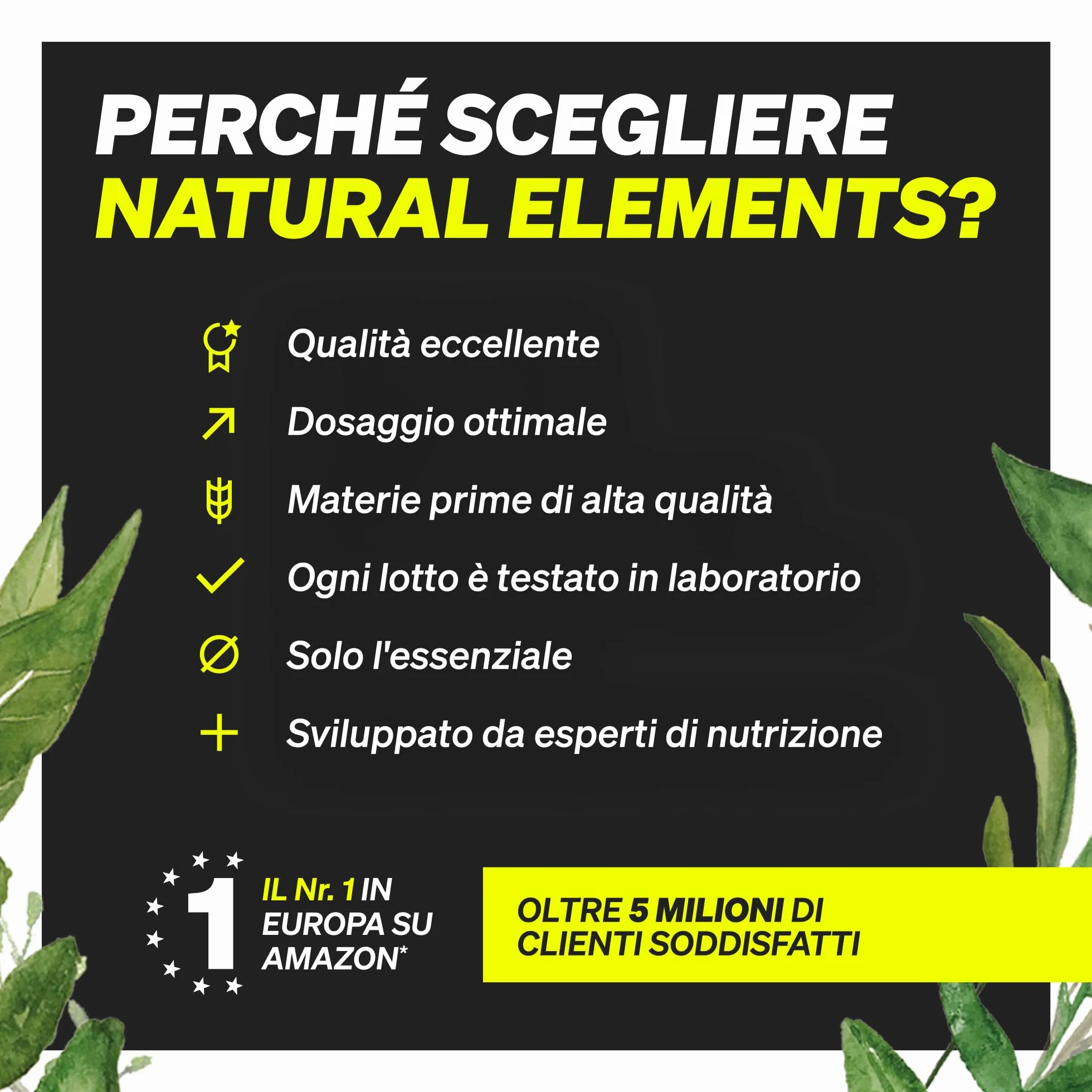 Creatina Monoidrato in Polvere - Materia prima di marca Creapure® - 147 porzioni (500 g) - Ultrafine: Mesh Factor 200 - Insapore e vegan - Polvere Pura senza Additivi Superflui - Prodotta in Germania